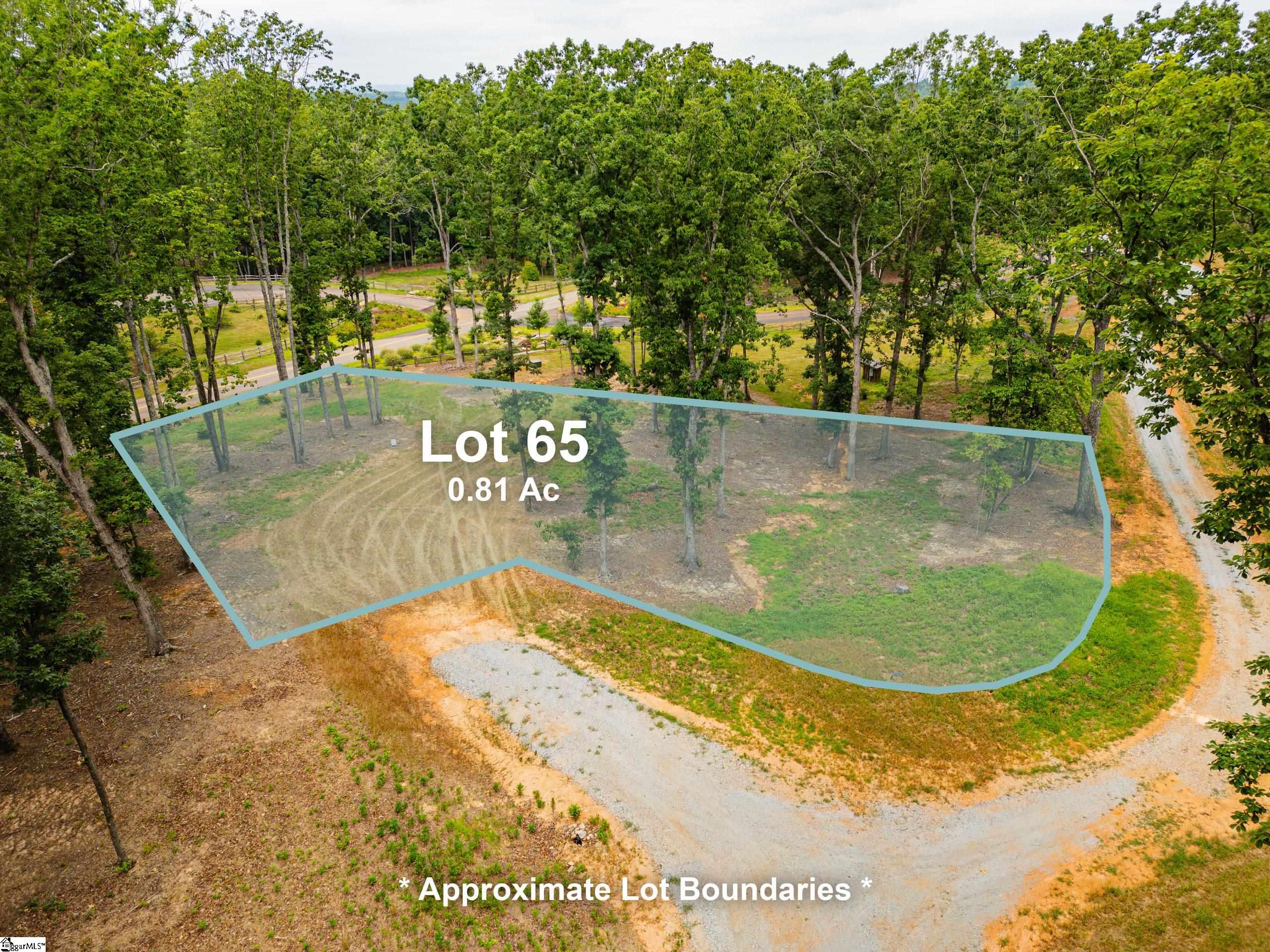 102 Waterfall Overlook, Easley, South Carolina image 7