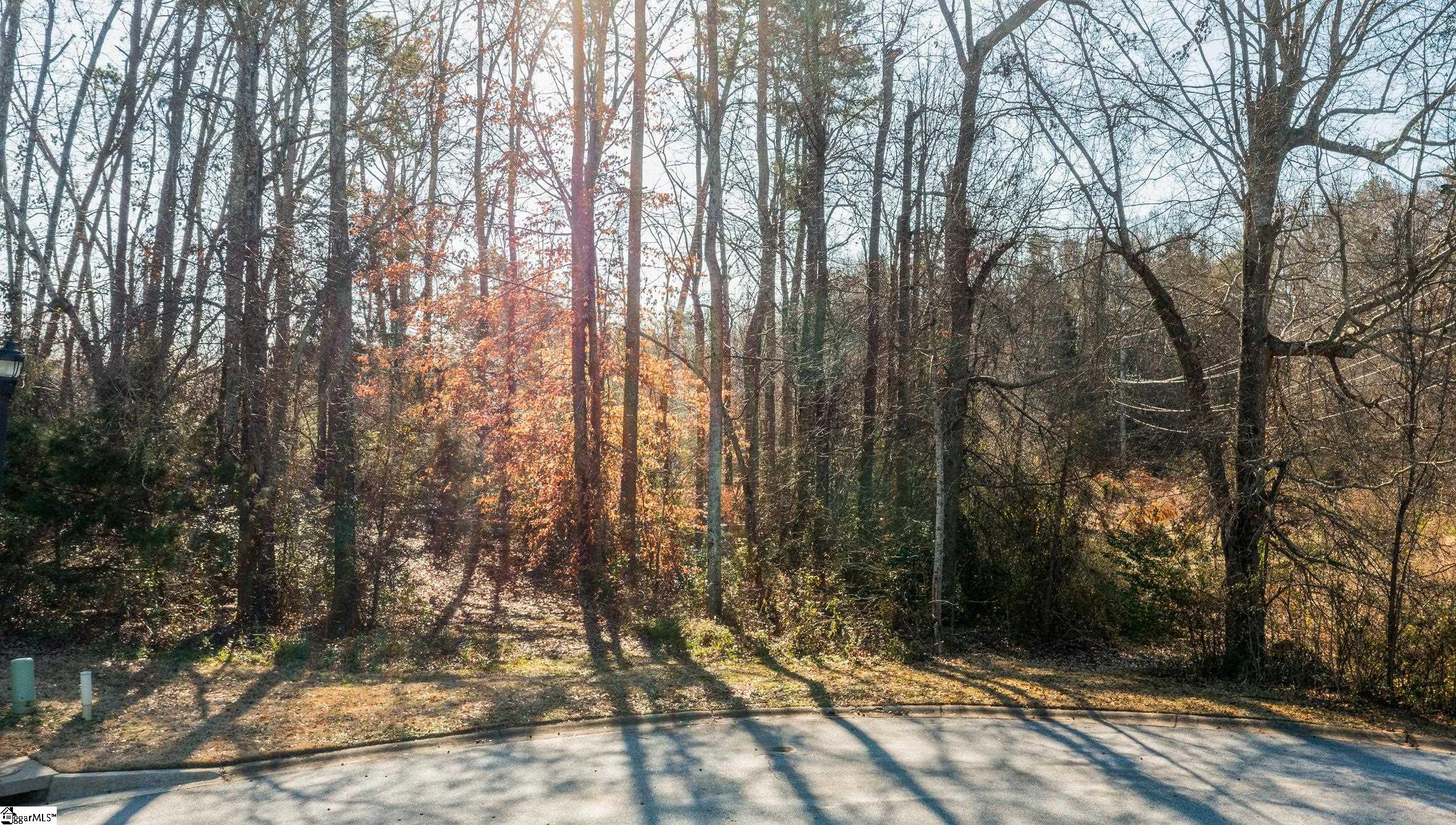 309 Chafford, Simpsonville, South Carolina image 12