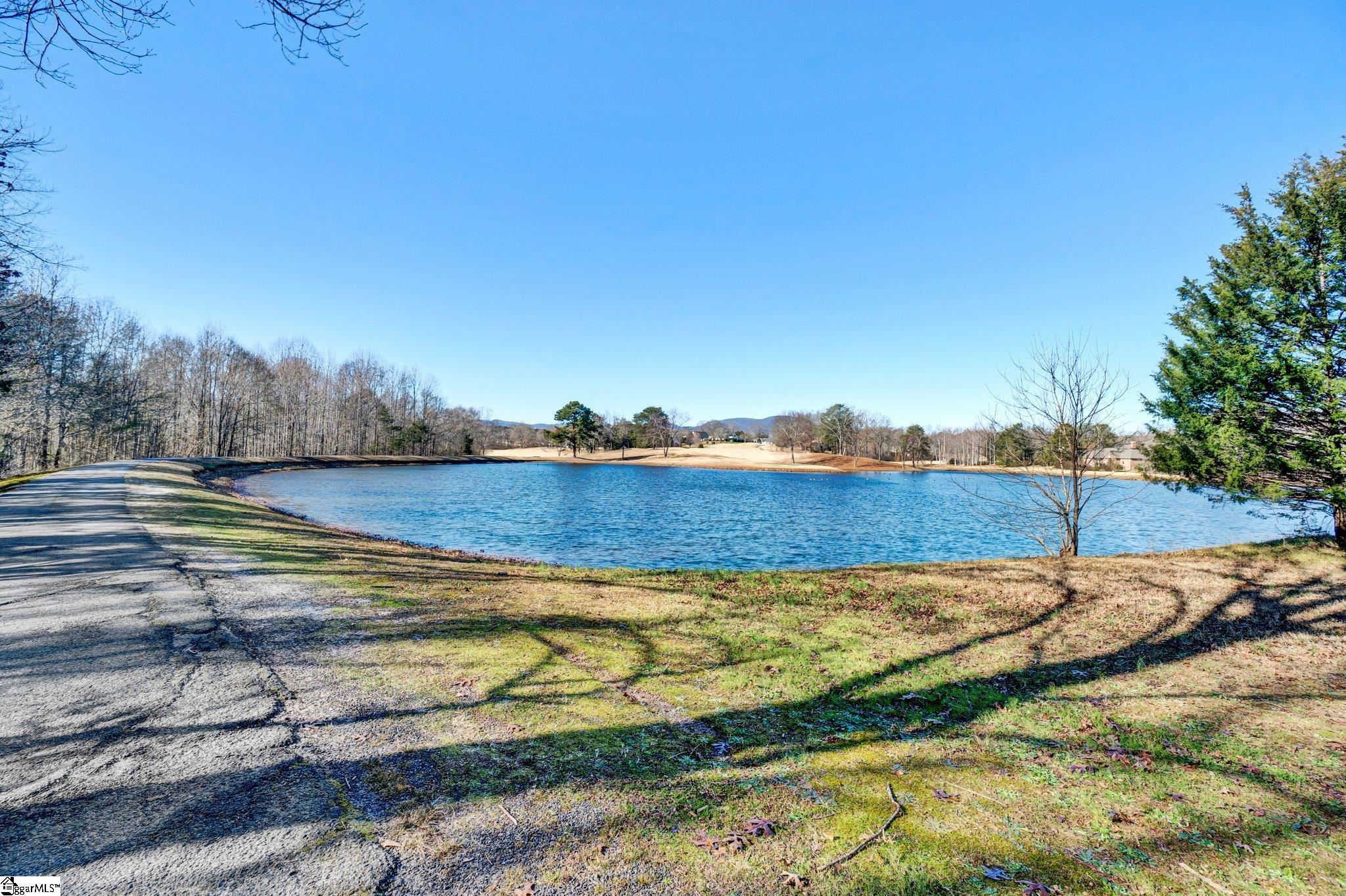 N 14, Landrum, South Carolina image 5