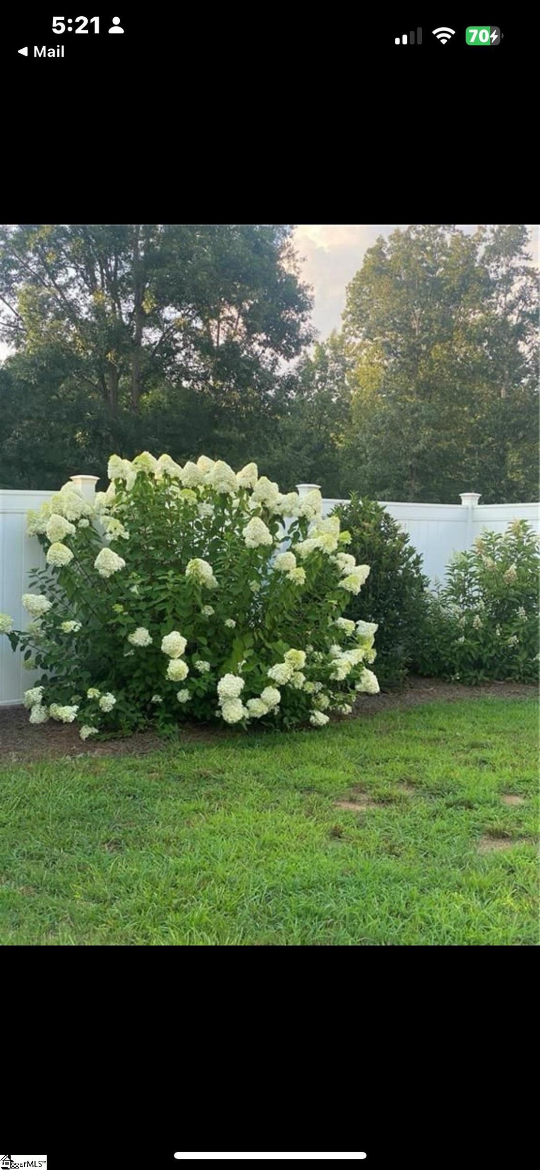 425 Eaton, Central, South Carolina image 31