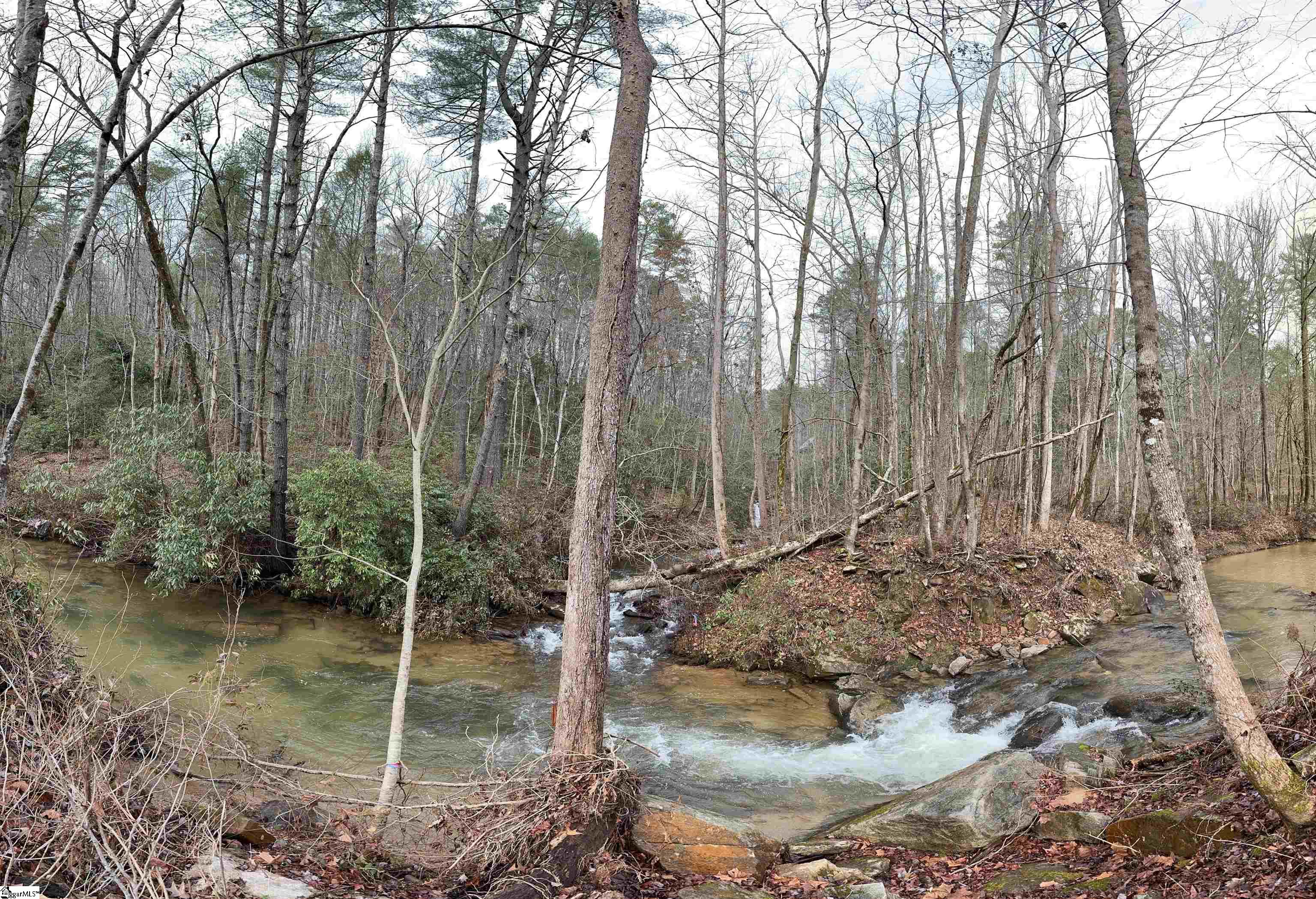 00 Gap Creek, Marietta, South Carolina image 7