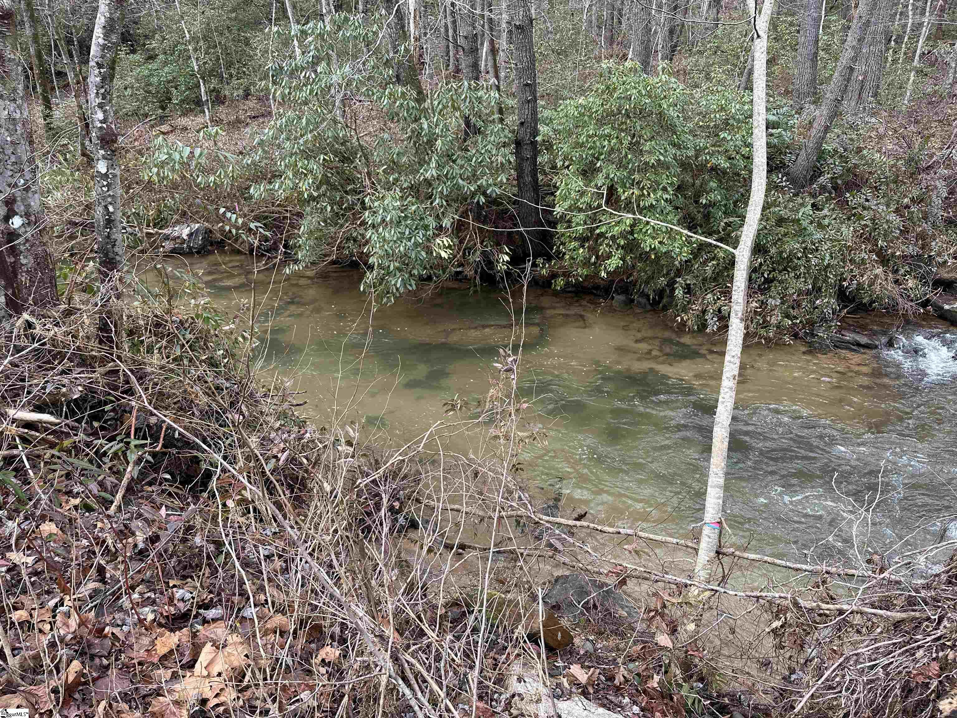 00 Gap Creek, Marietta, South Carolina image 8