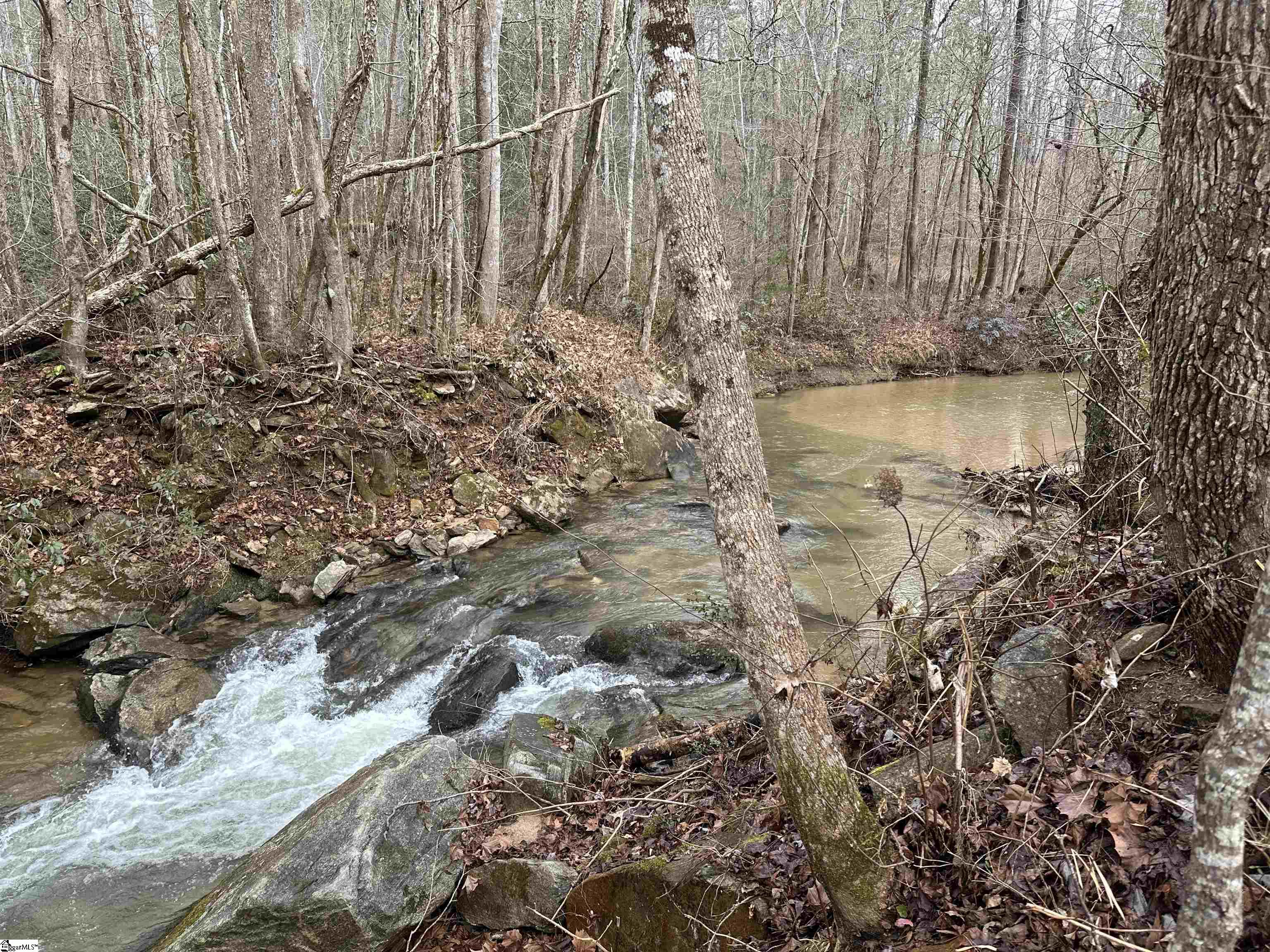 00 Gap Creek, Marietta, South Carolina image 9
