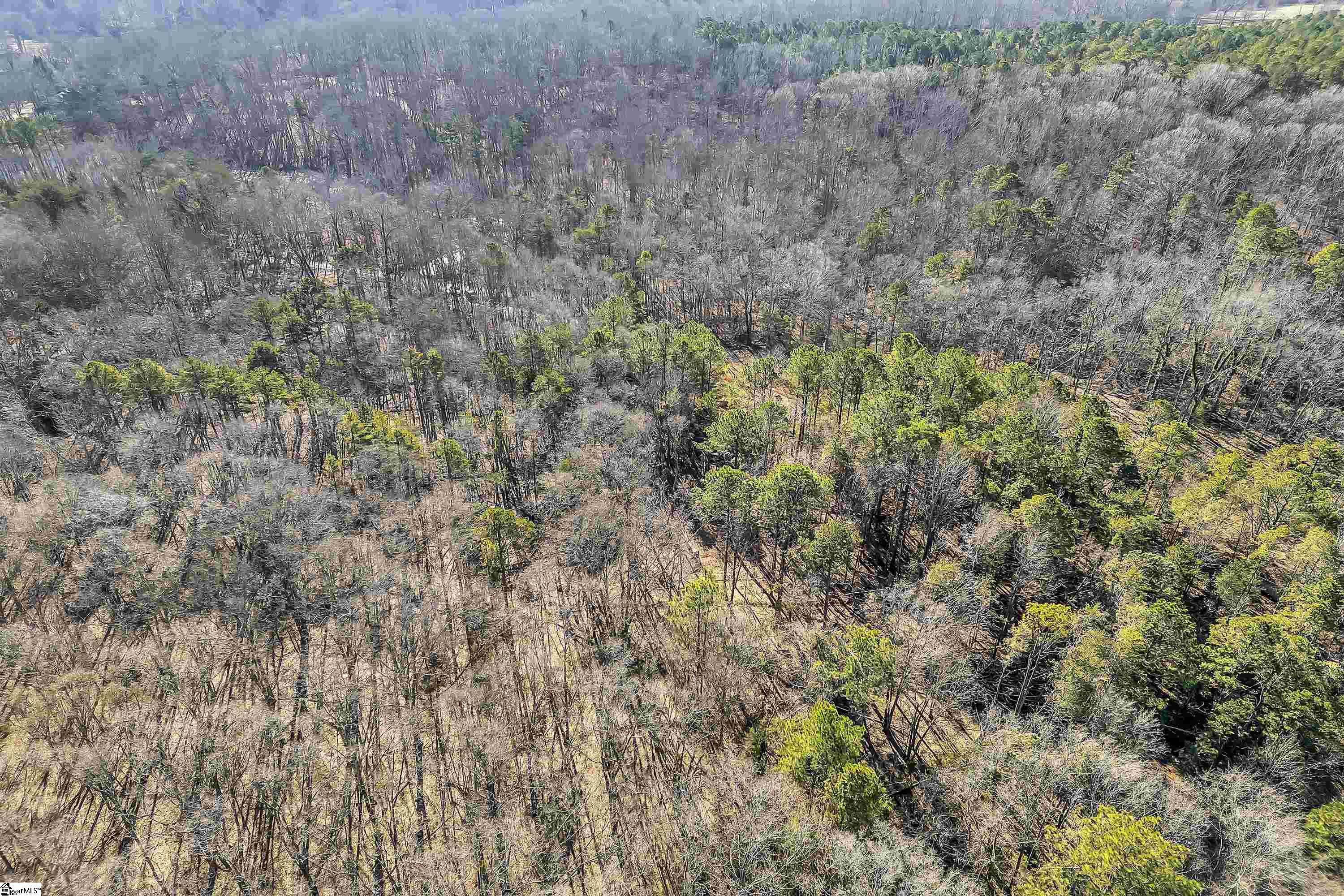 Lancaster, Spartanburg, South Carolina image 19