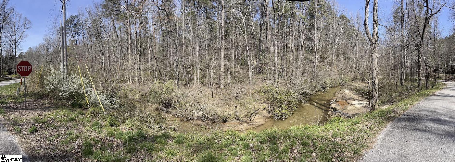 0000 Gap Creek, Marietta, South Carolina image 11