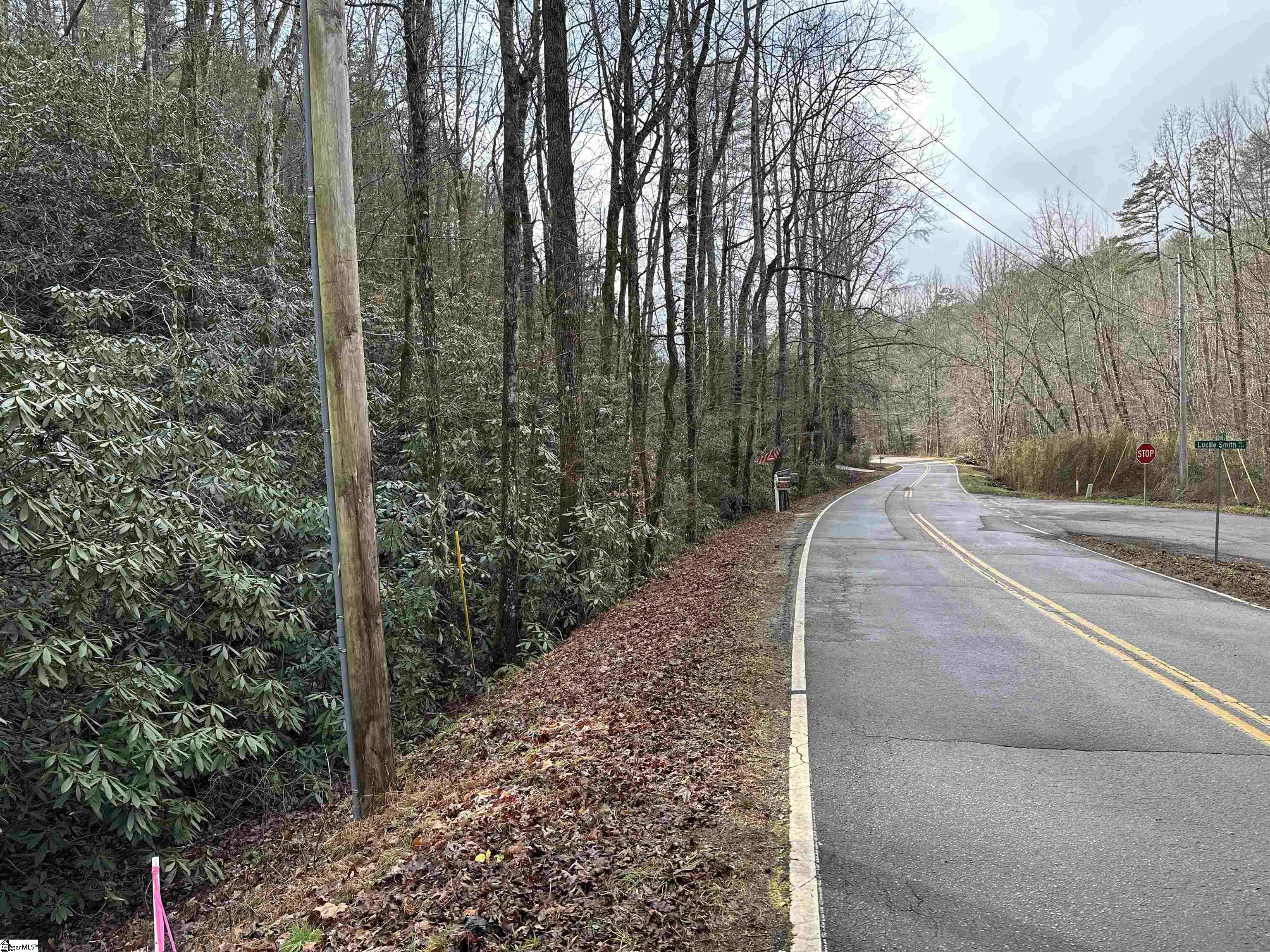 0000 Gap Creek, Marietta, South Carolina image 3