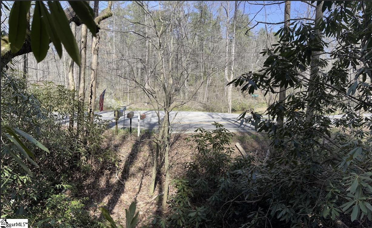 0000 Gap Creek, Marietta, South Carolina image 8