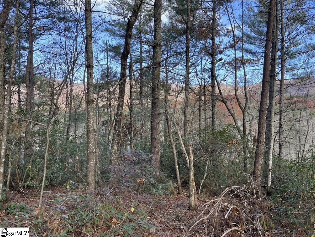 0000 Gap Creek, Marietta, South Carolina image 9