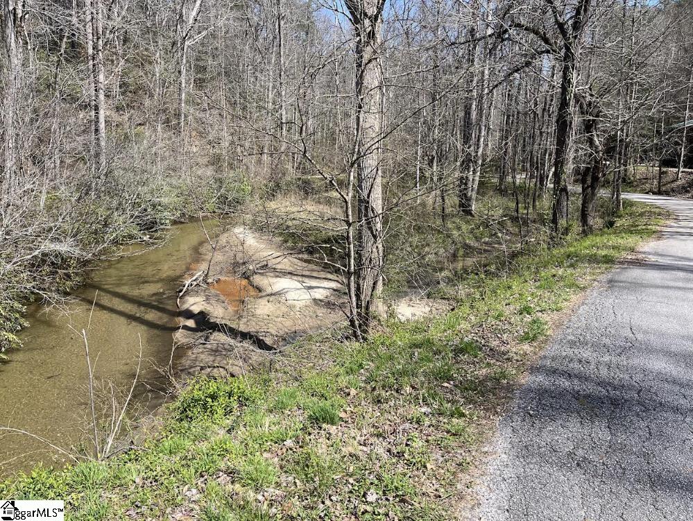 0000 Gap Creek, Marietta, South Carolina image 10