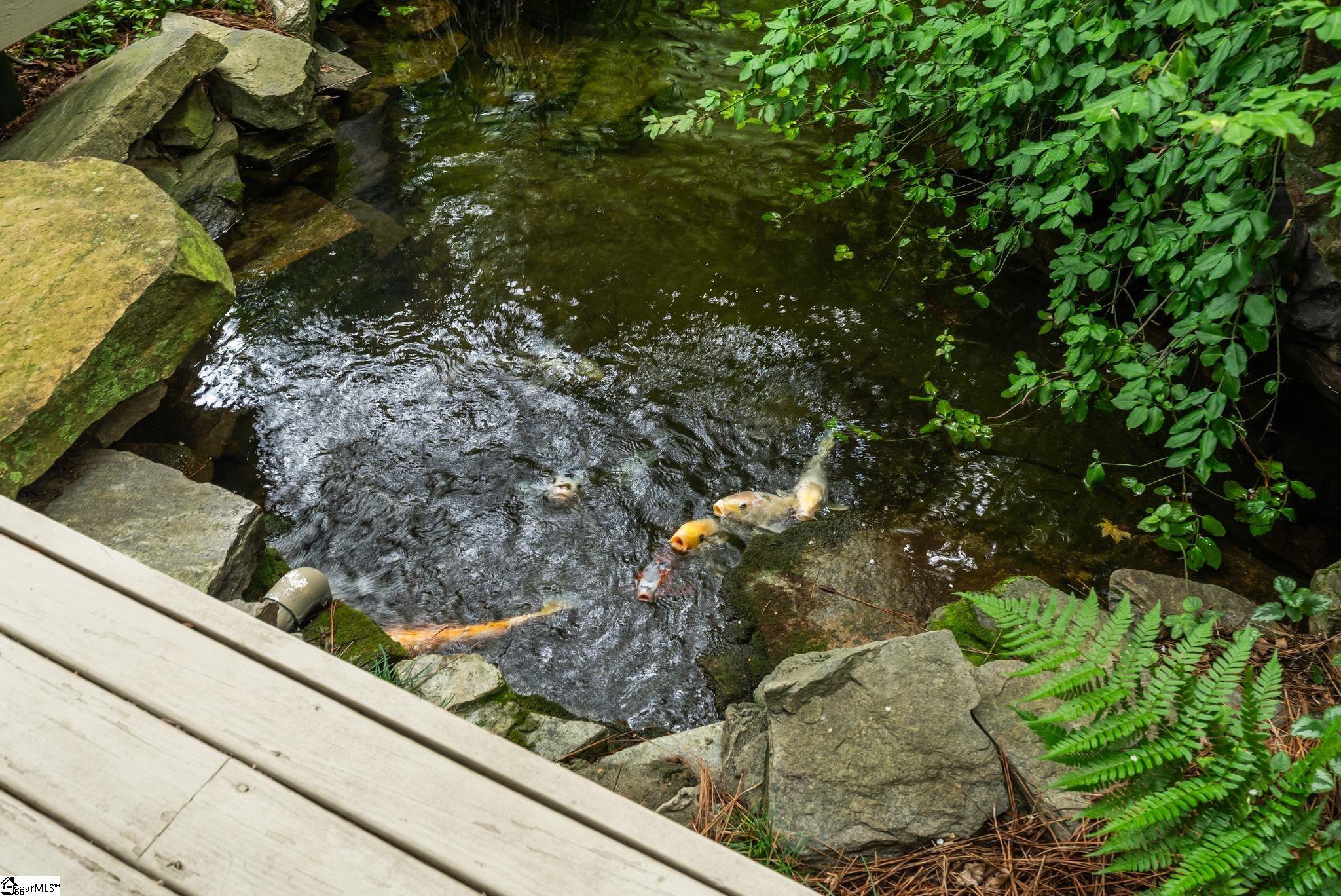 MLS #1545281 image #14