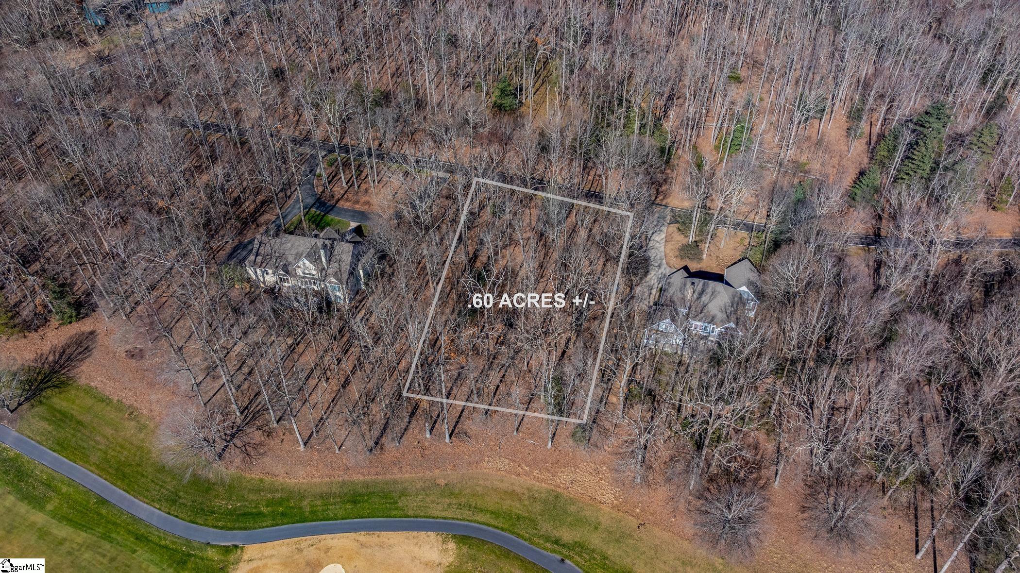 46 Snap Dragon, Landrum, South Carolina image 13