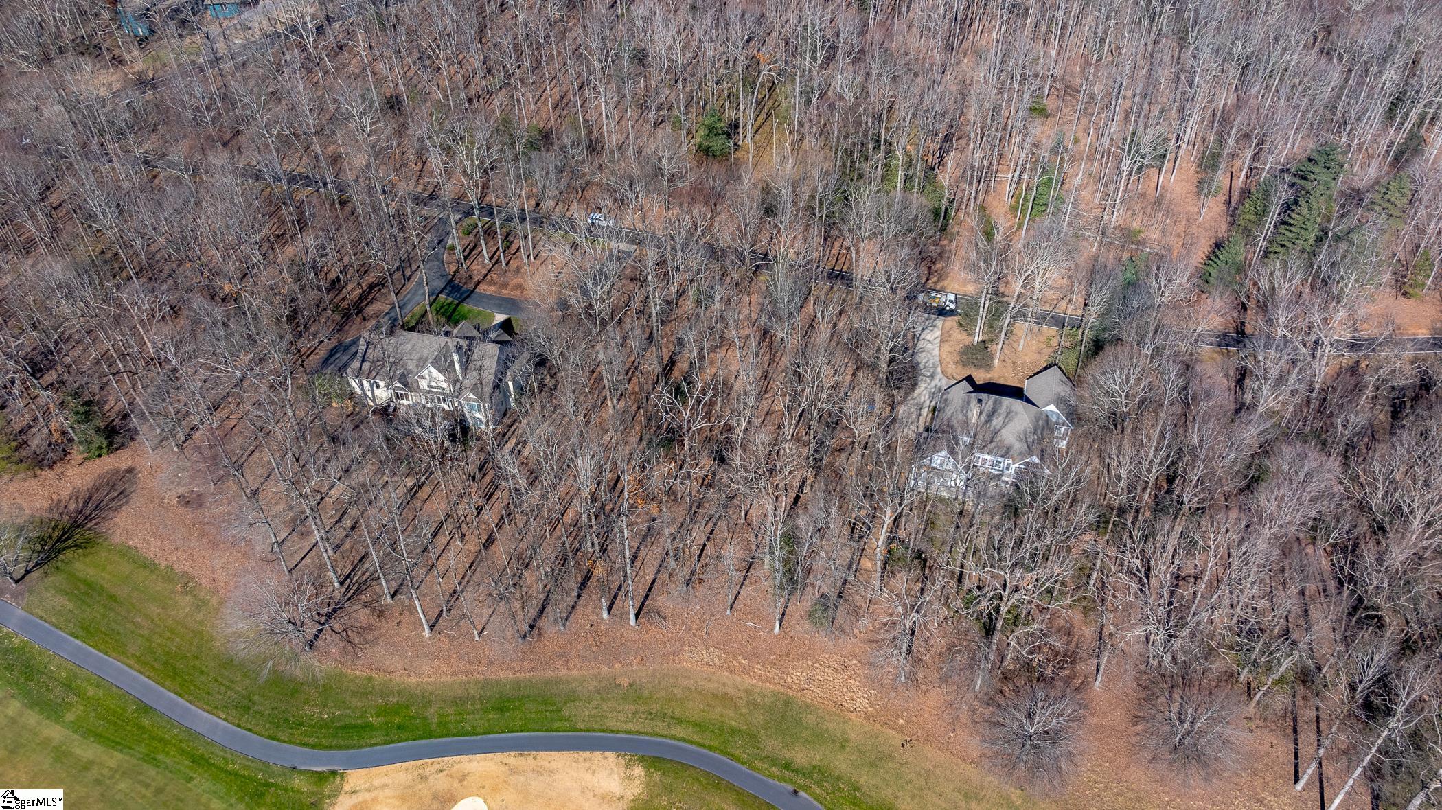 46 Snap Dragon, Landrum, South Carolina image 14
