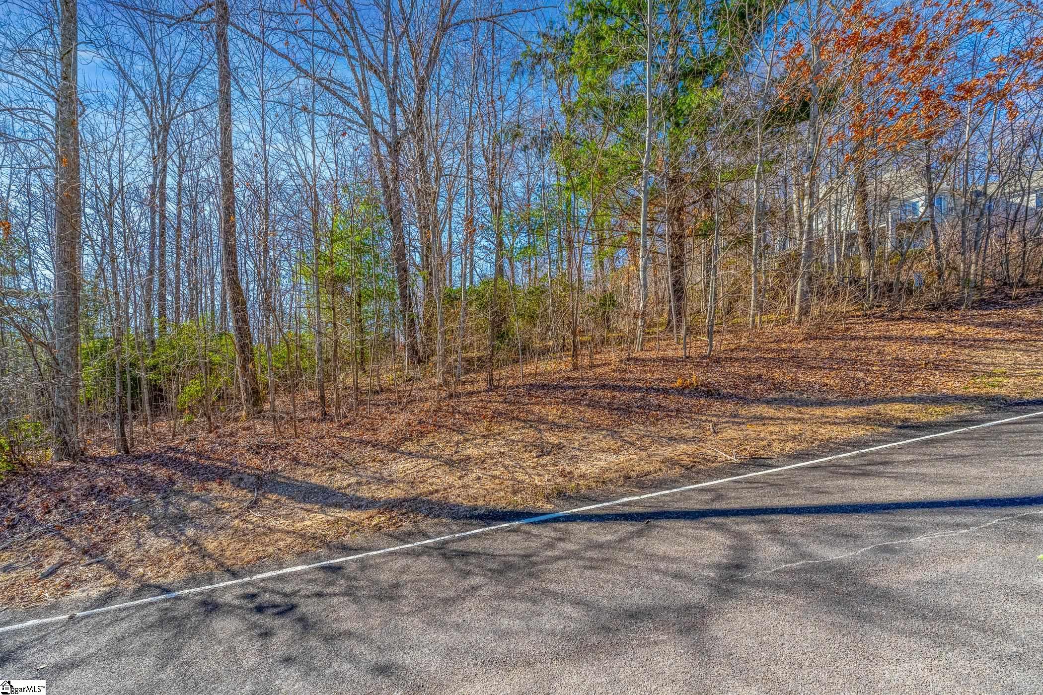 100 Park Green, Landrum, South Carolina image 2