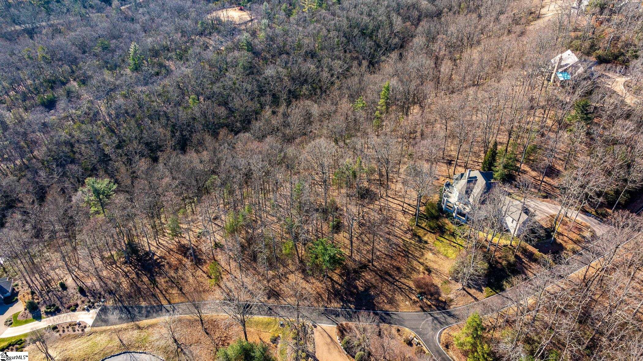 100 Park Green, Landrum, South Carolina image 3