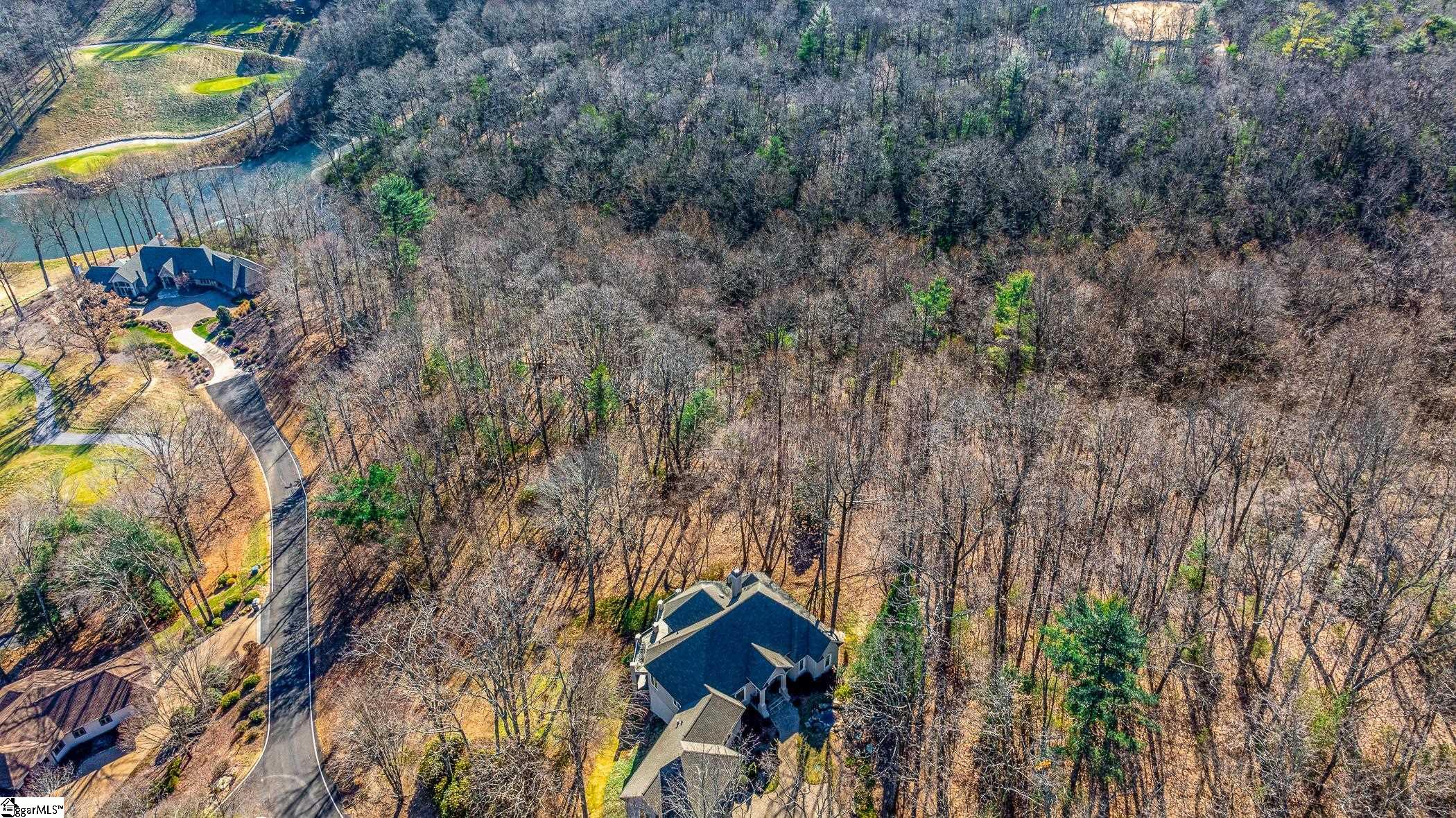 100 Park Green, Landrum, South Carolina image 4