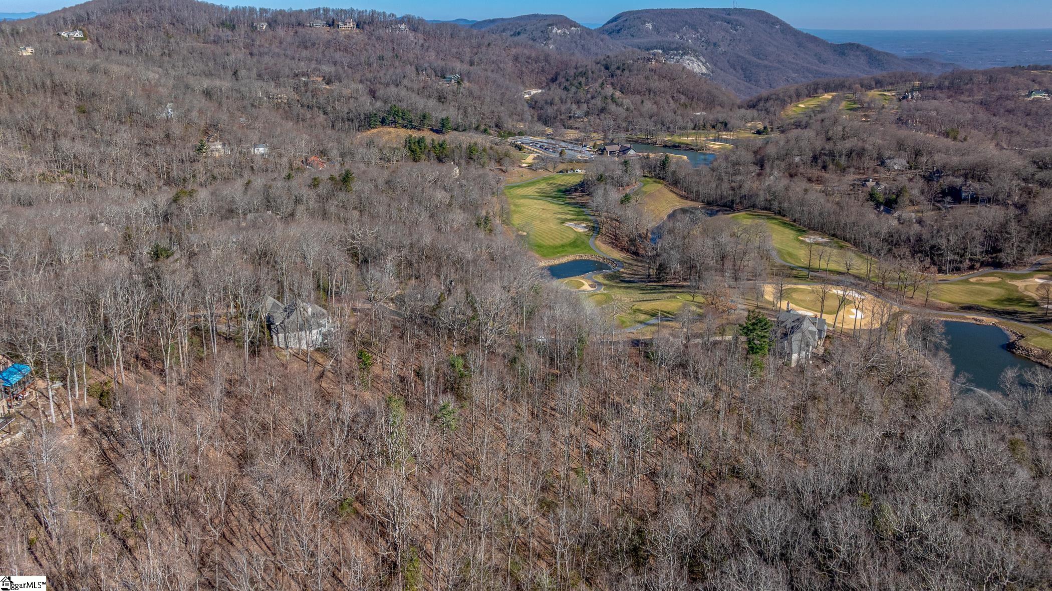 100 Park Green, Landrum, South Carolina image 5