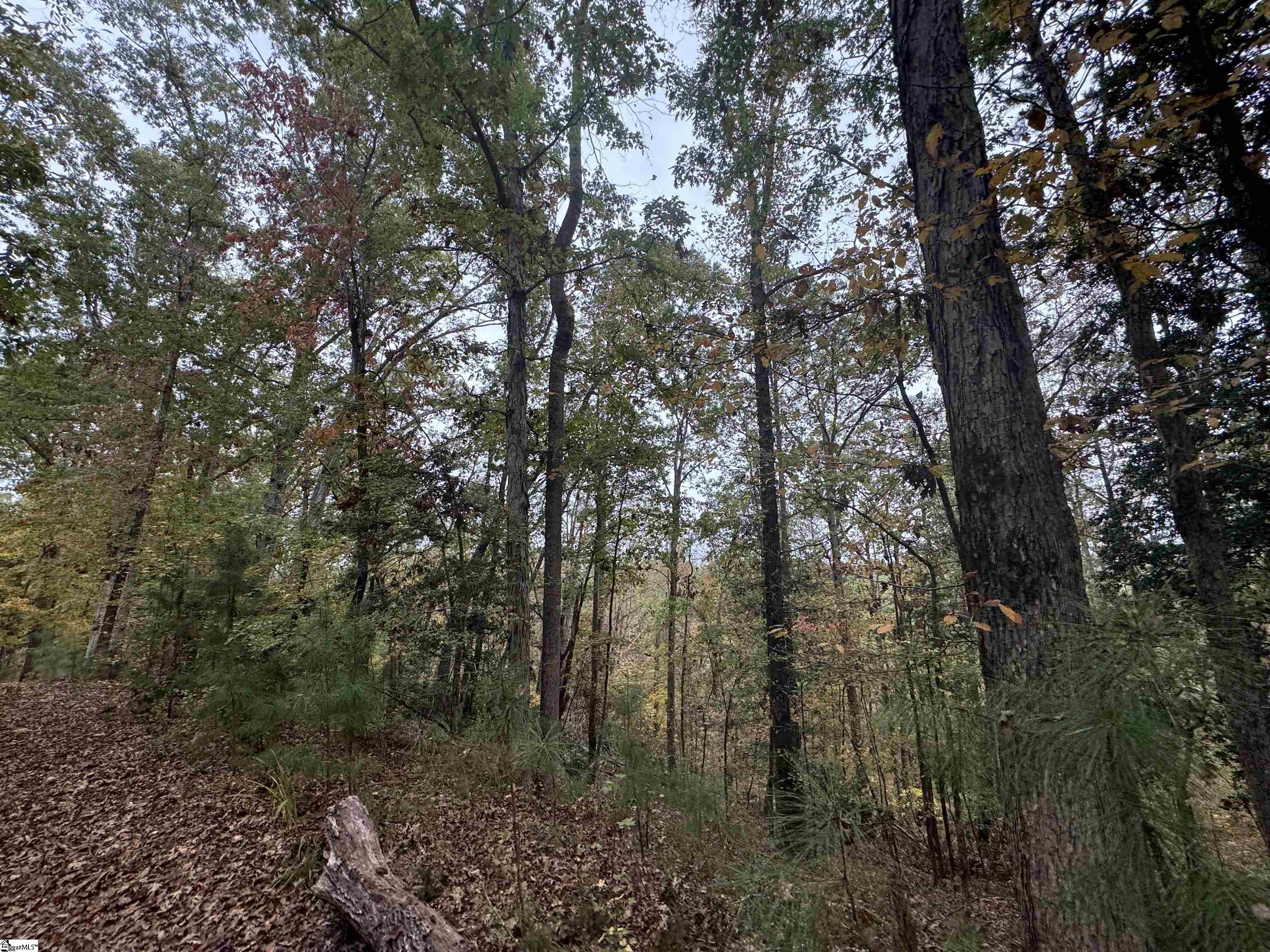 00 Horseshoe Pointe, Iva, South Carolina image 21