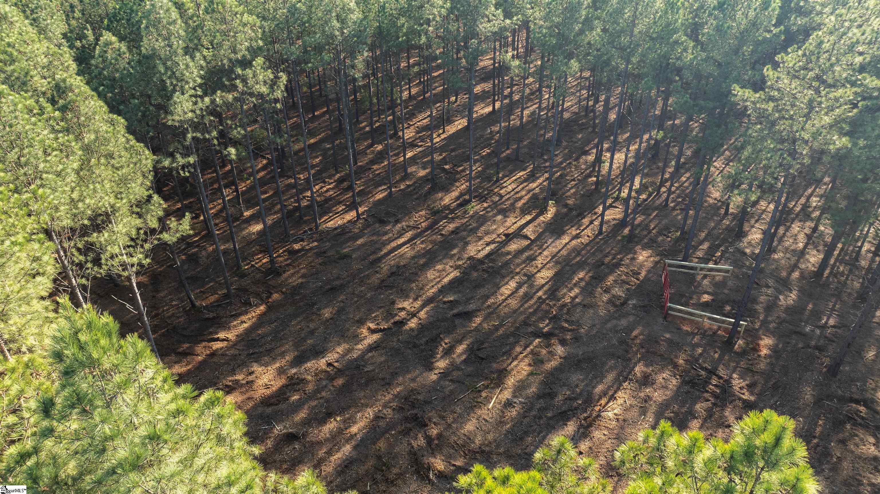 05 Gault Creek, Jonesville, South Carolina image 5