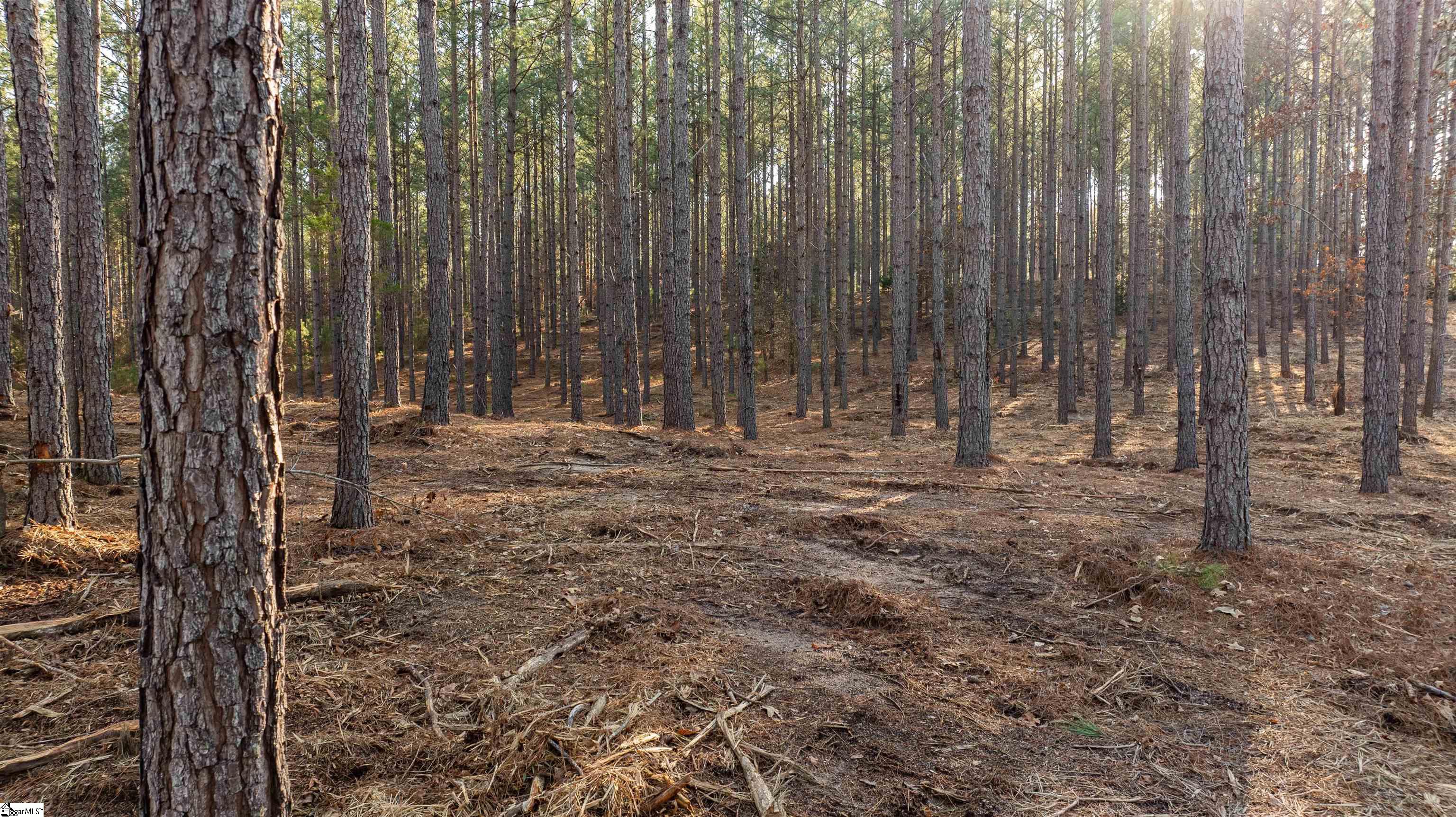 05 Gault Creek, Jonesville, South Carolina image 7