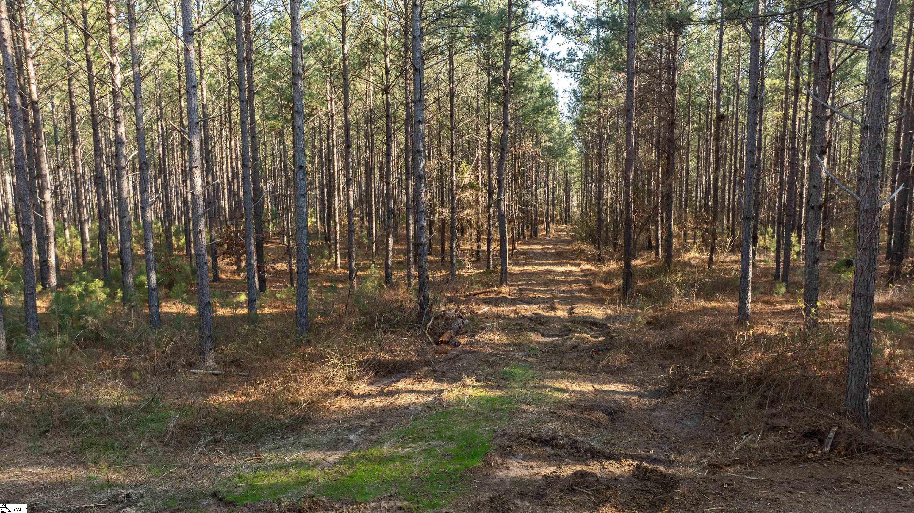 05 Gault Creek, Jonesville, South Carolina image 8
