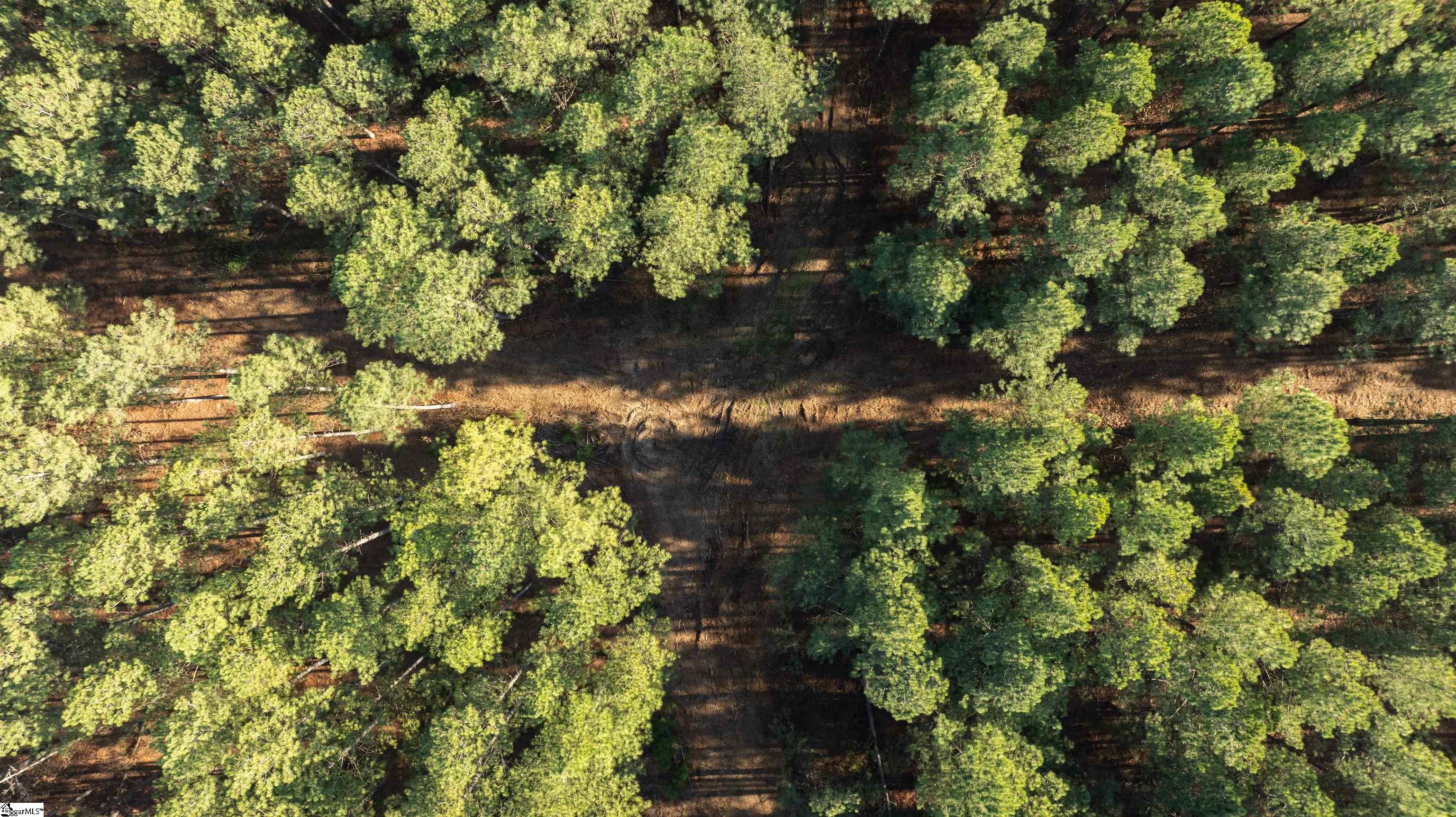 05 Gault Creek, Jonesville, South Carolina image 9