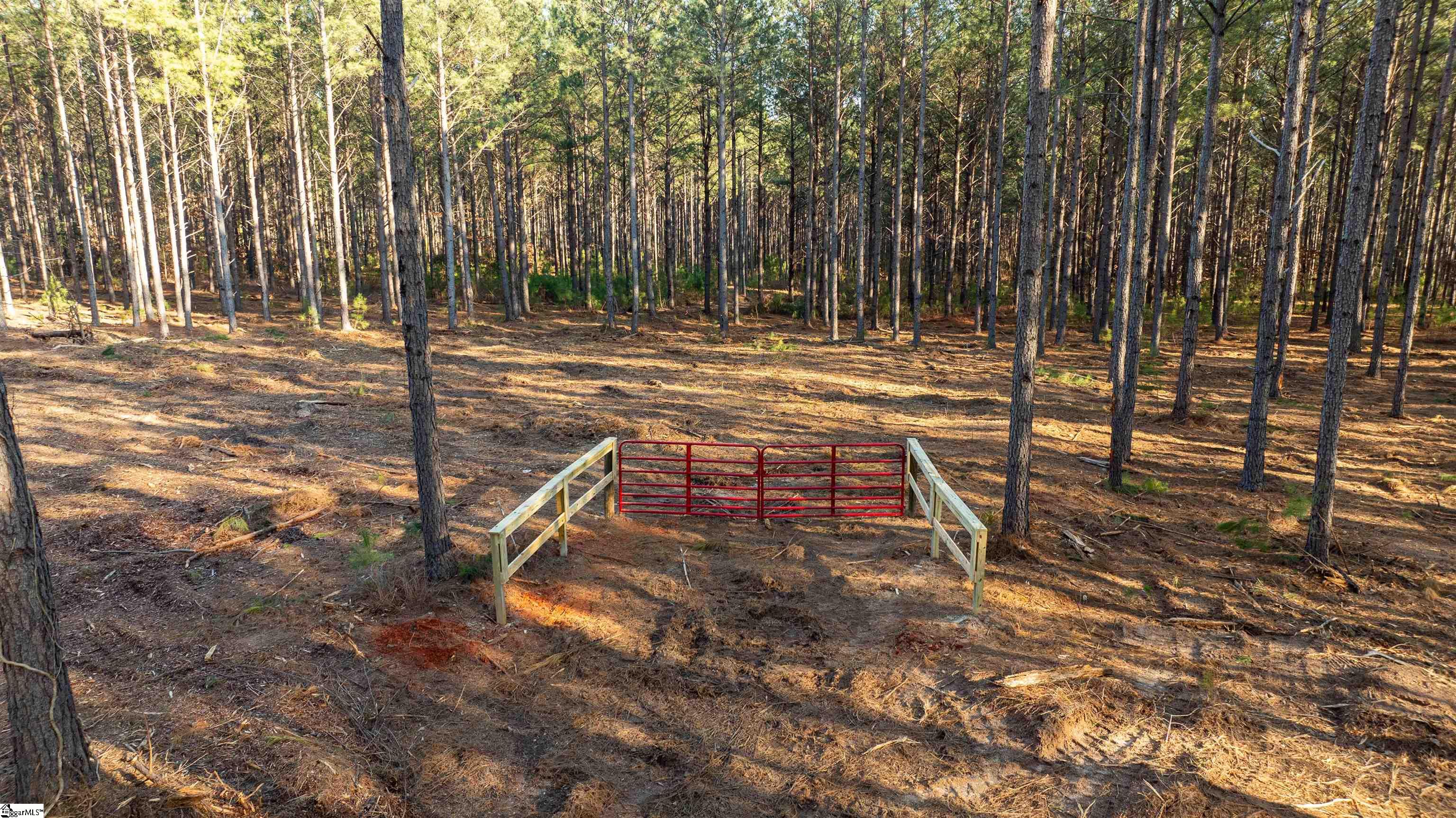 05 Gault Creek, Jonesville, South Carolina image 10