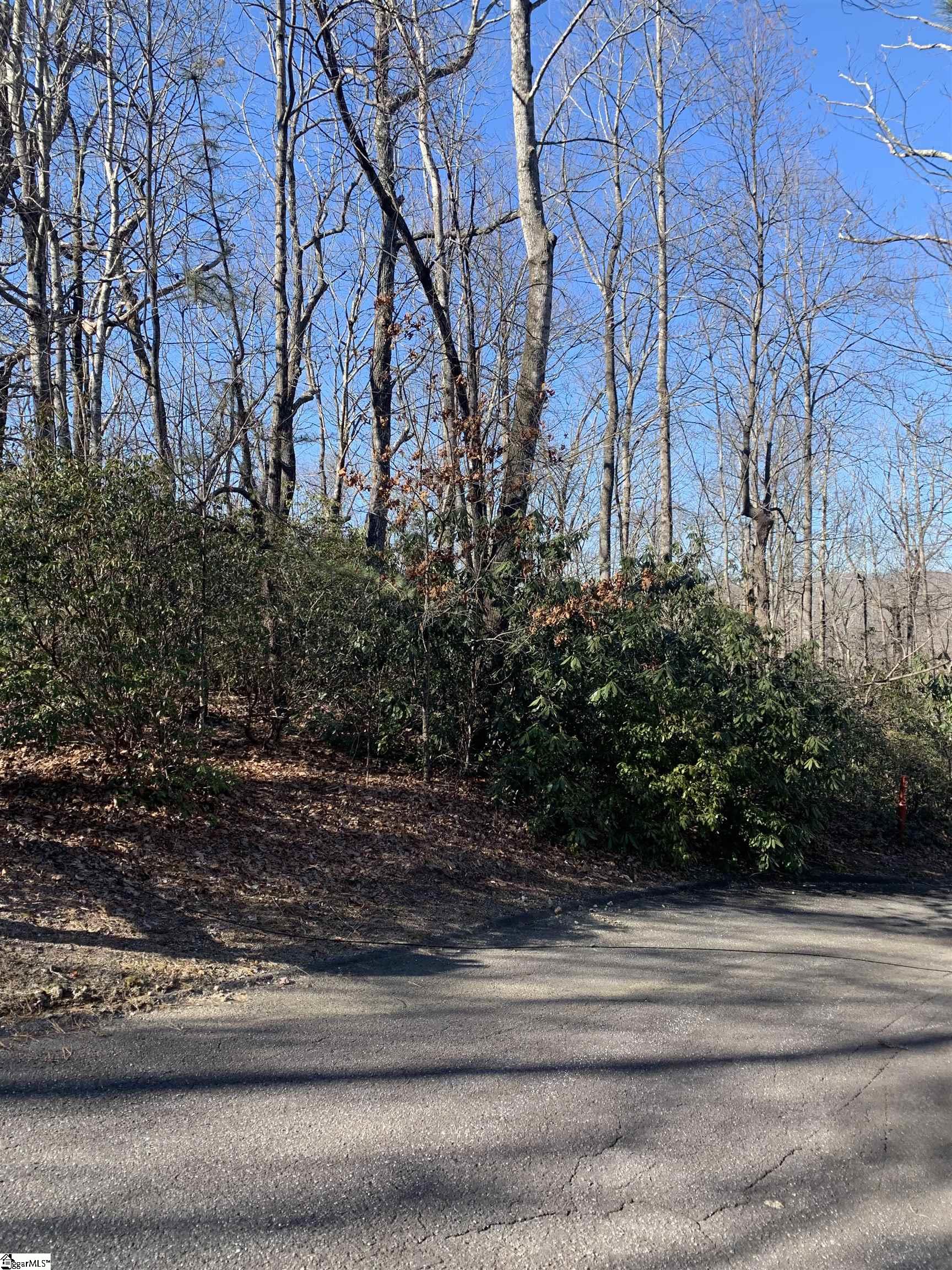 000 Cliff Ridge, Cleveland, South Carolina image 2