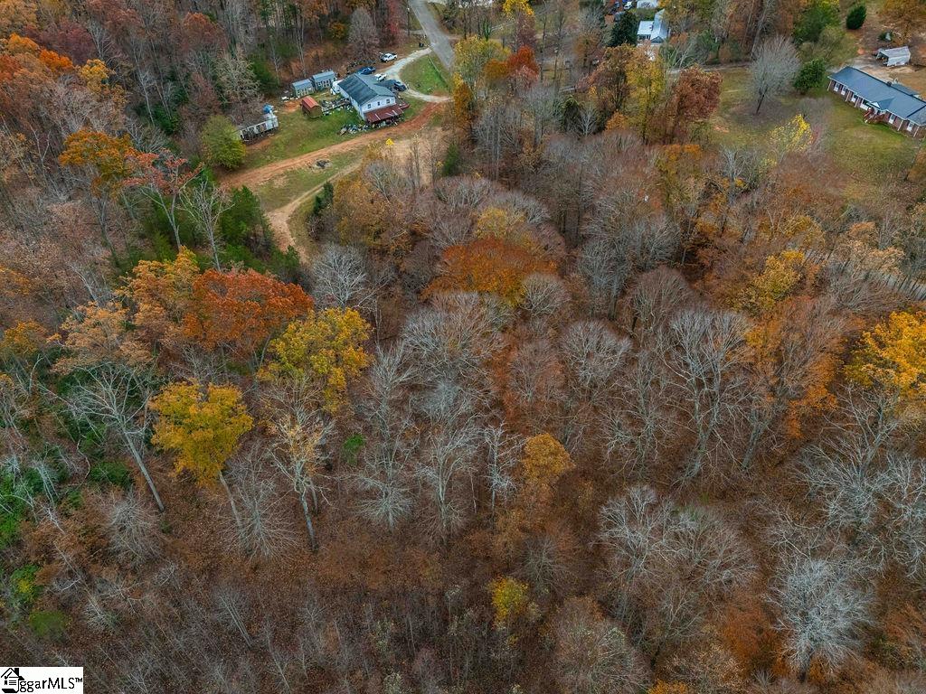 Coleman, Travelers Rest, South Carolina image 15