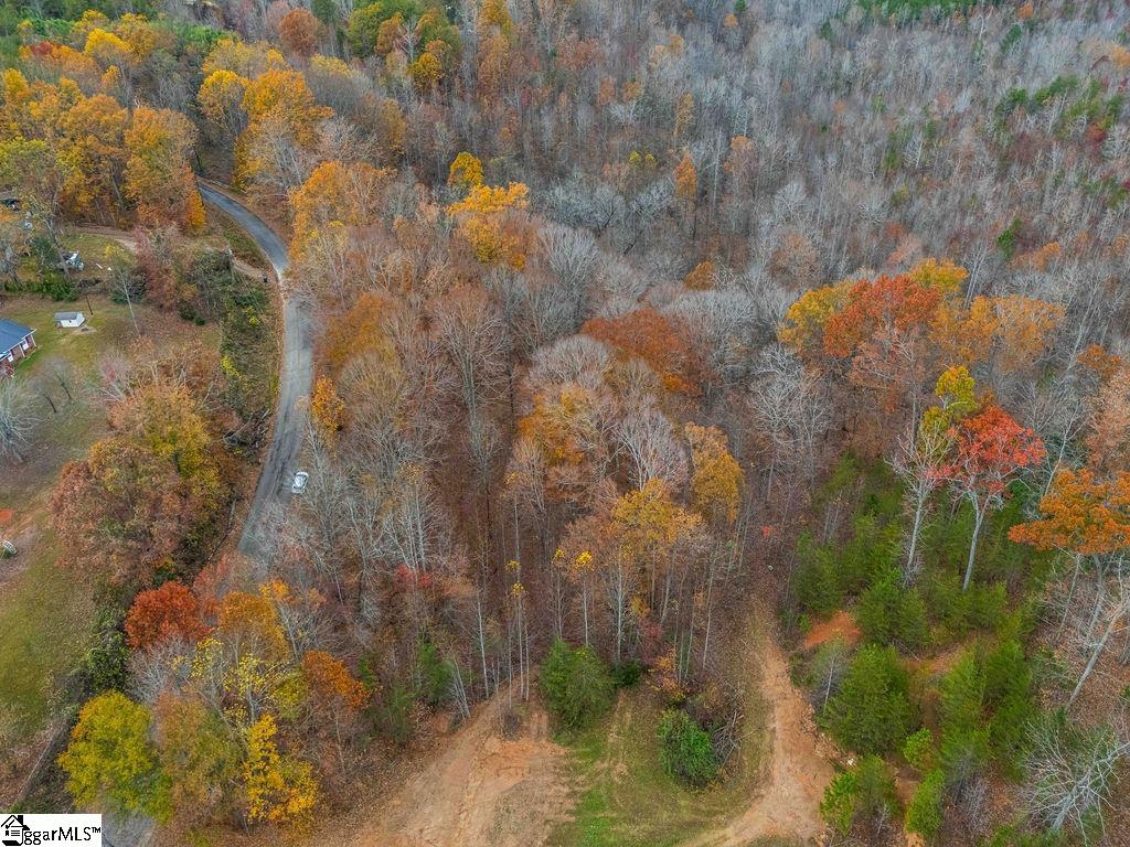 Coleman, Travelers Rest, South Carolina image 17