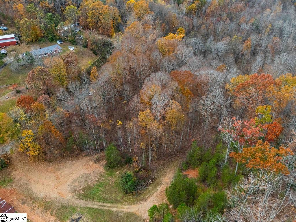 Coleman, Travelers Rest, South Carolina image 19