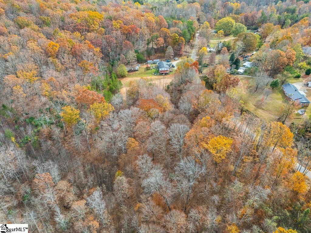 Coleman, Travelers Rest, South Carolina image 23