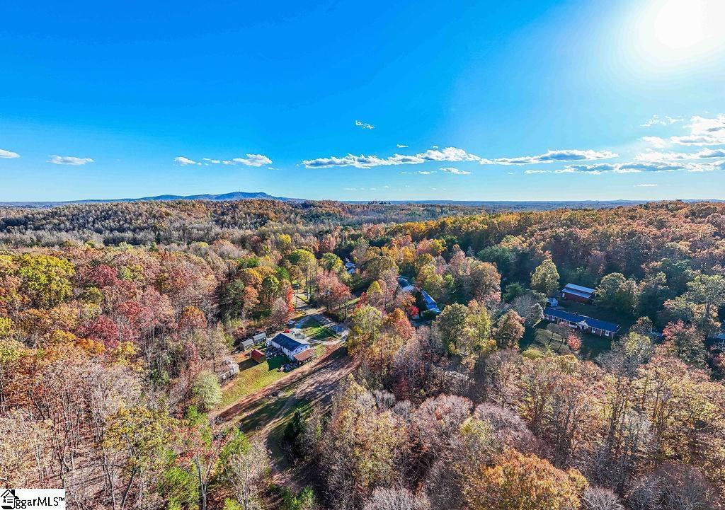 Coleman, Travelers Rest, South Carolina image 7