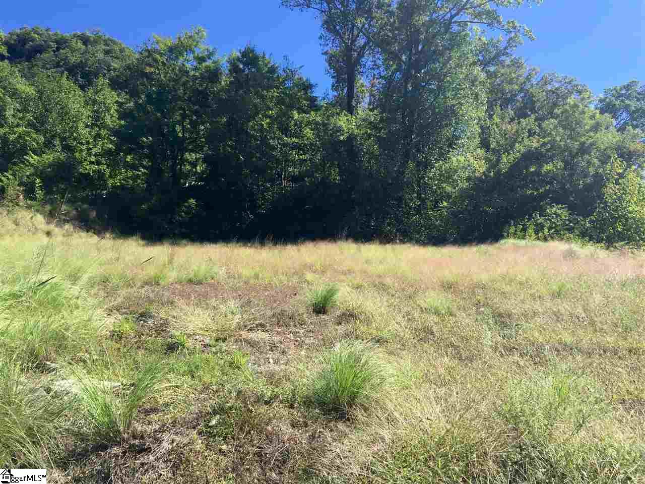 1511 Panther Park, Travelers Rest, South Carolina image 7