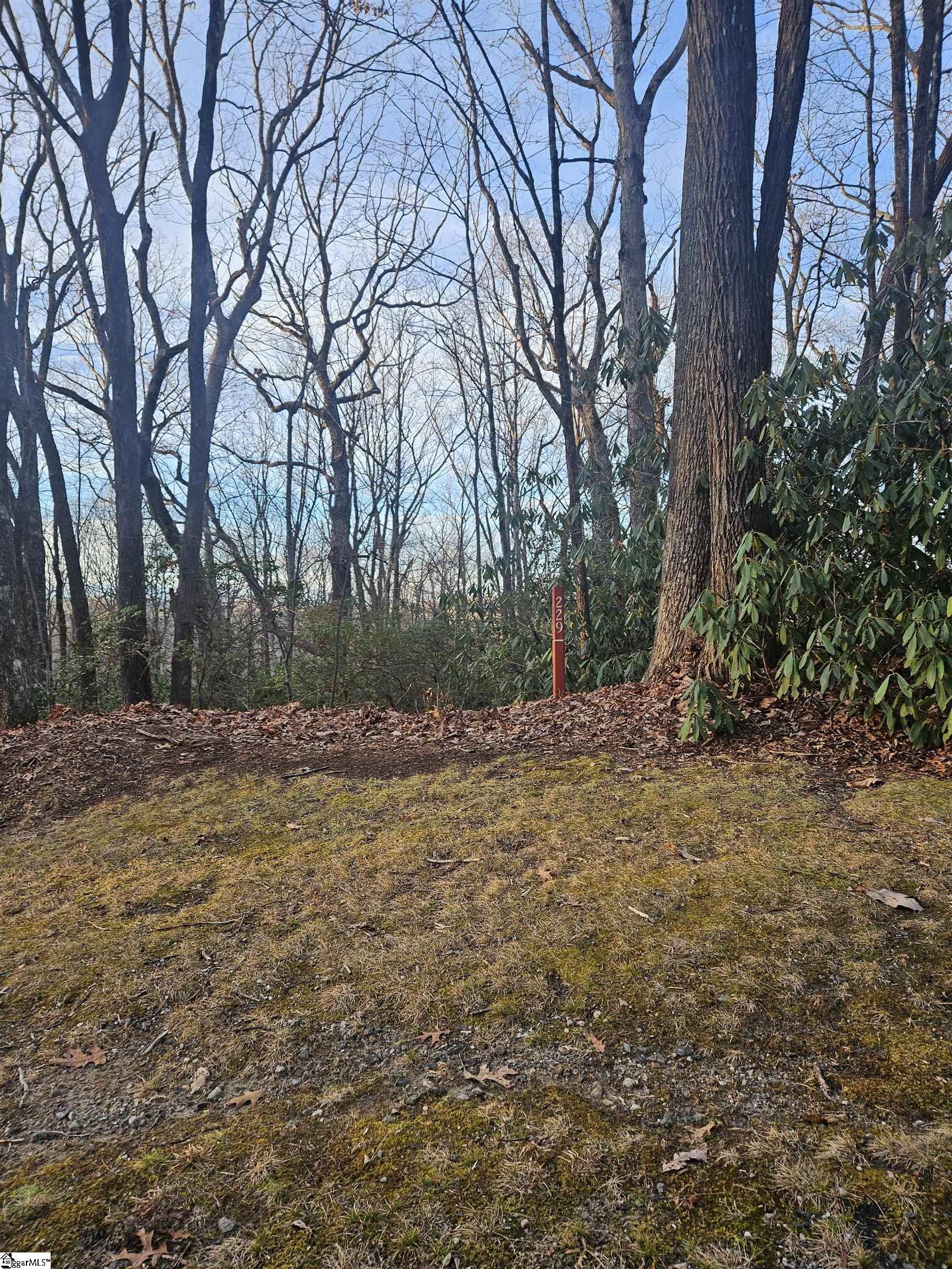 609 Cliff Ridge, Cleveland, South Carolina image 1