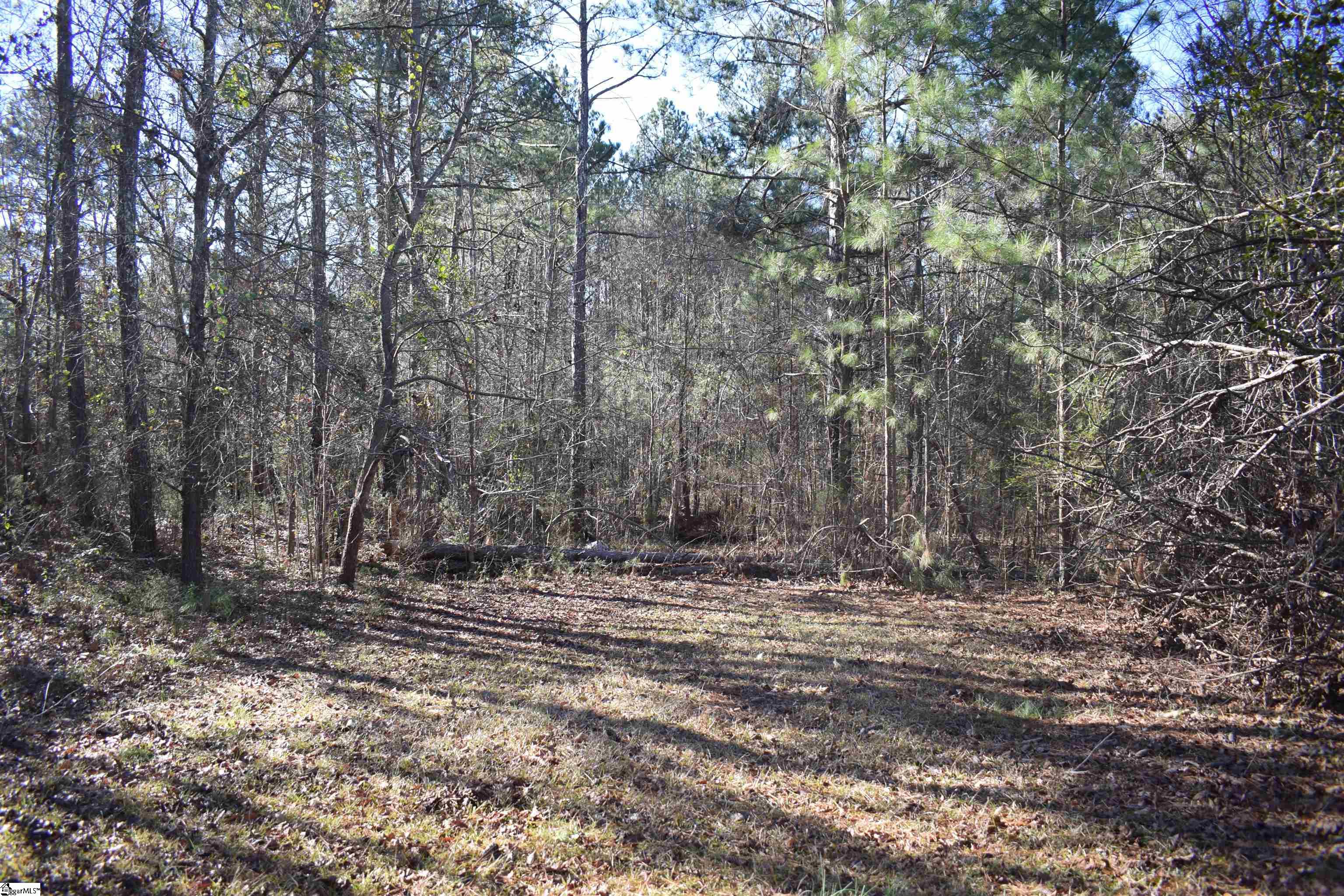 4474 Harris Spring, Cross Hill, South Carolina image 3