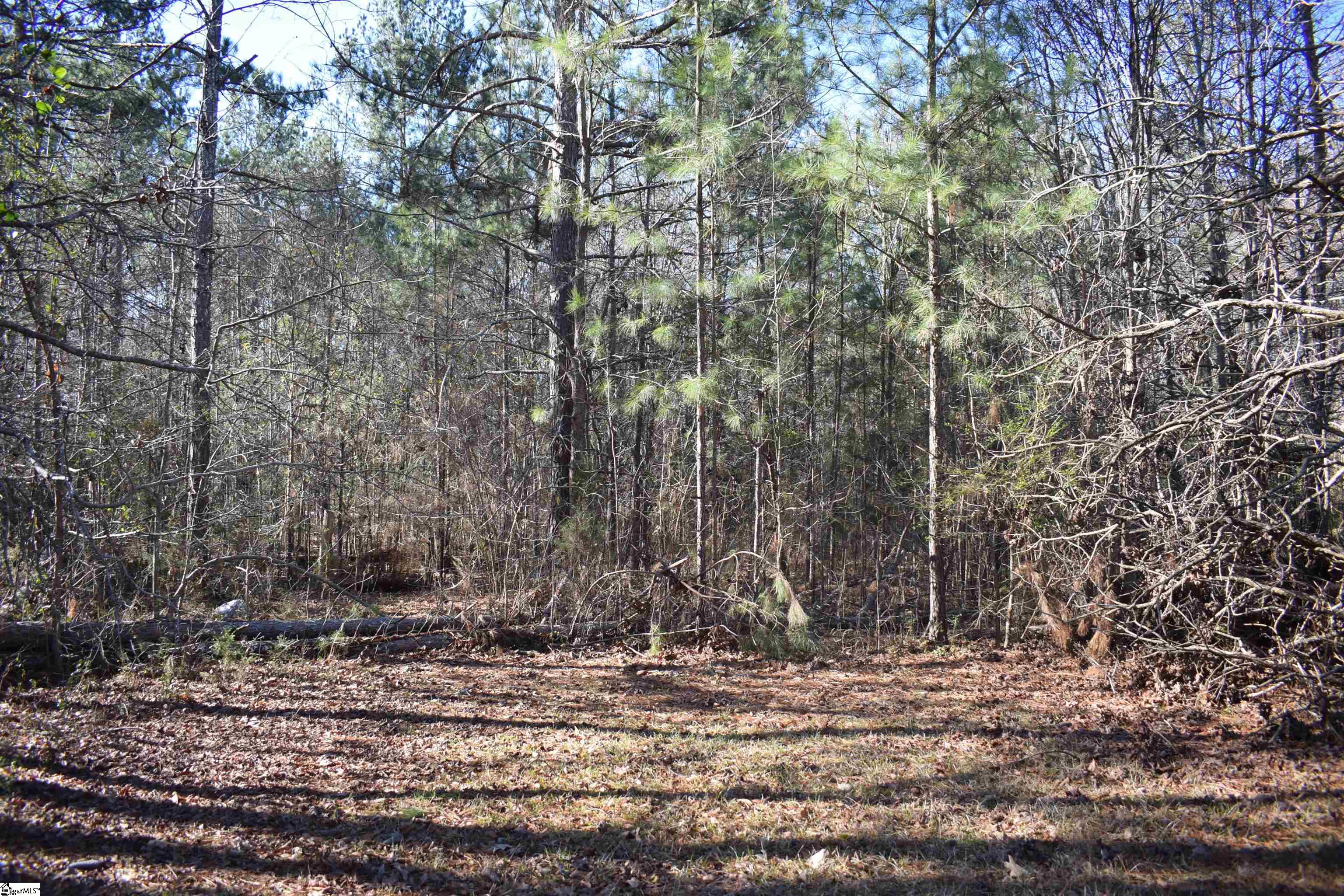 4474 Harris Spring, Cross Hill, South Carolina image 4
