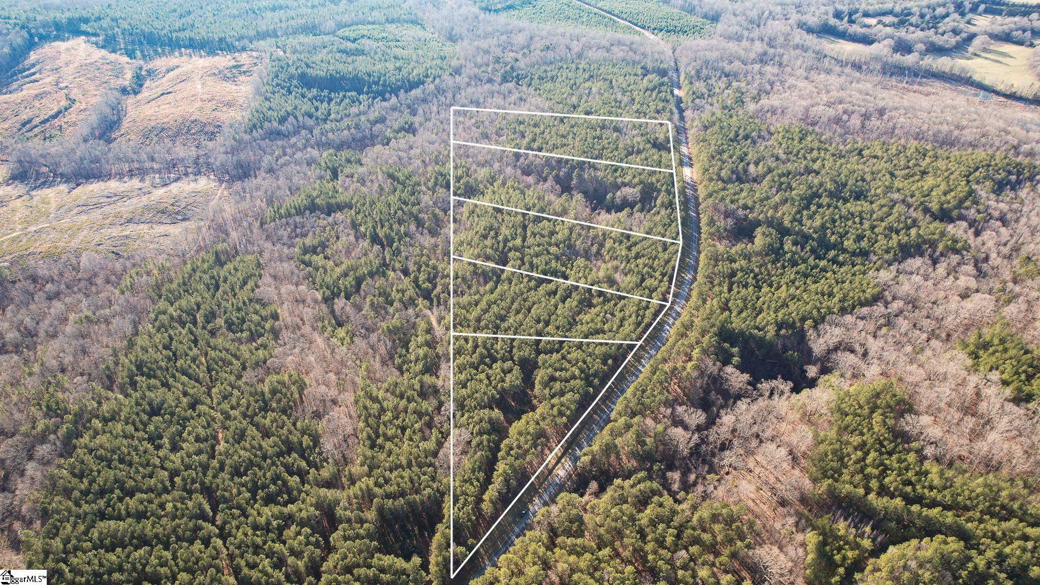 00 Elford Grove, Jonesville, South Carolina image 2
