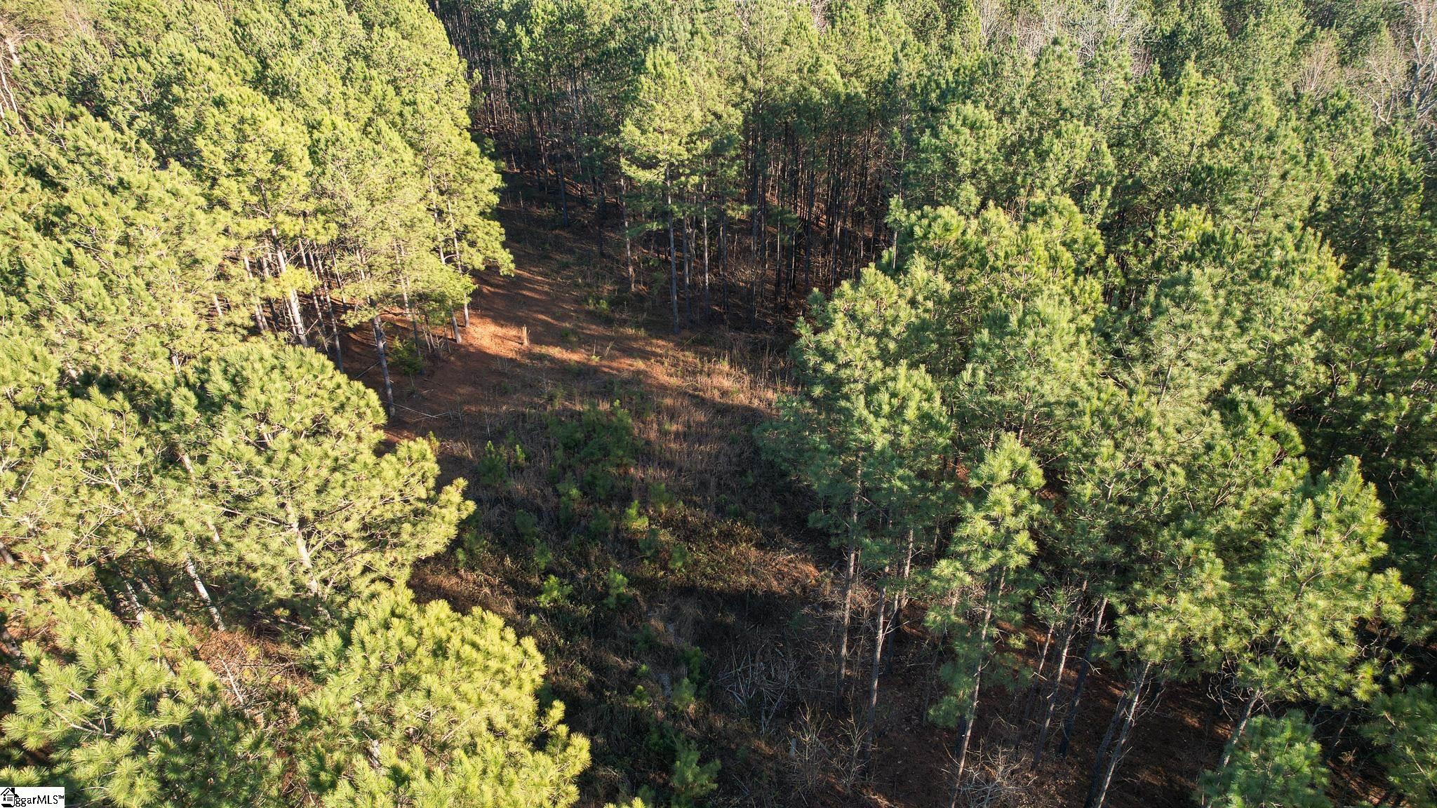 00 Elford Grove, Jonesville, South Carolina image 19