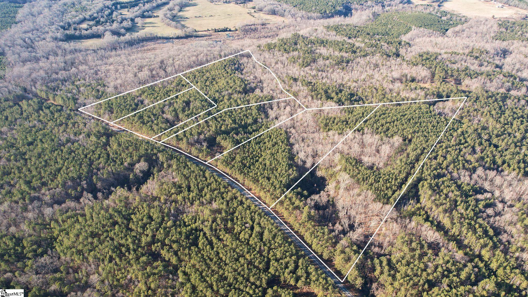 00 Elford Grove, Jonesville, South Carolina image 3