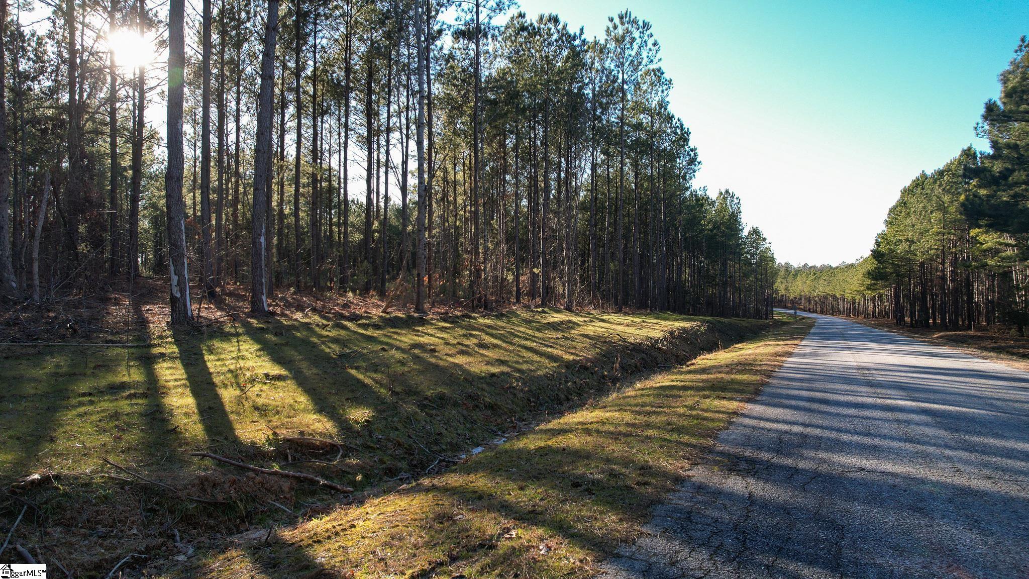 00 Elford Grove, Jonesville, South Carolina image 22