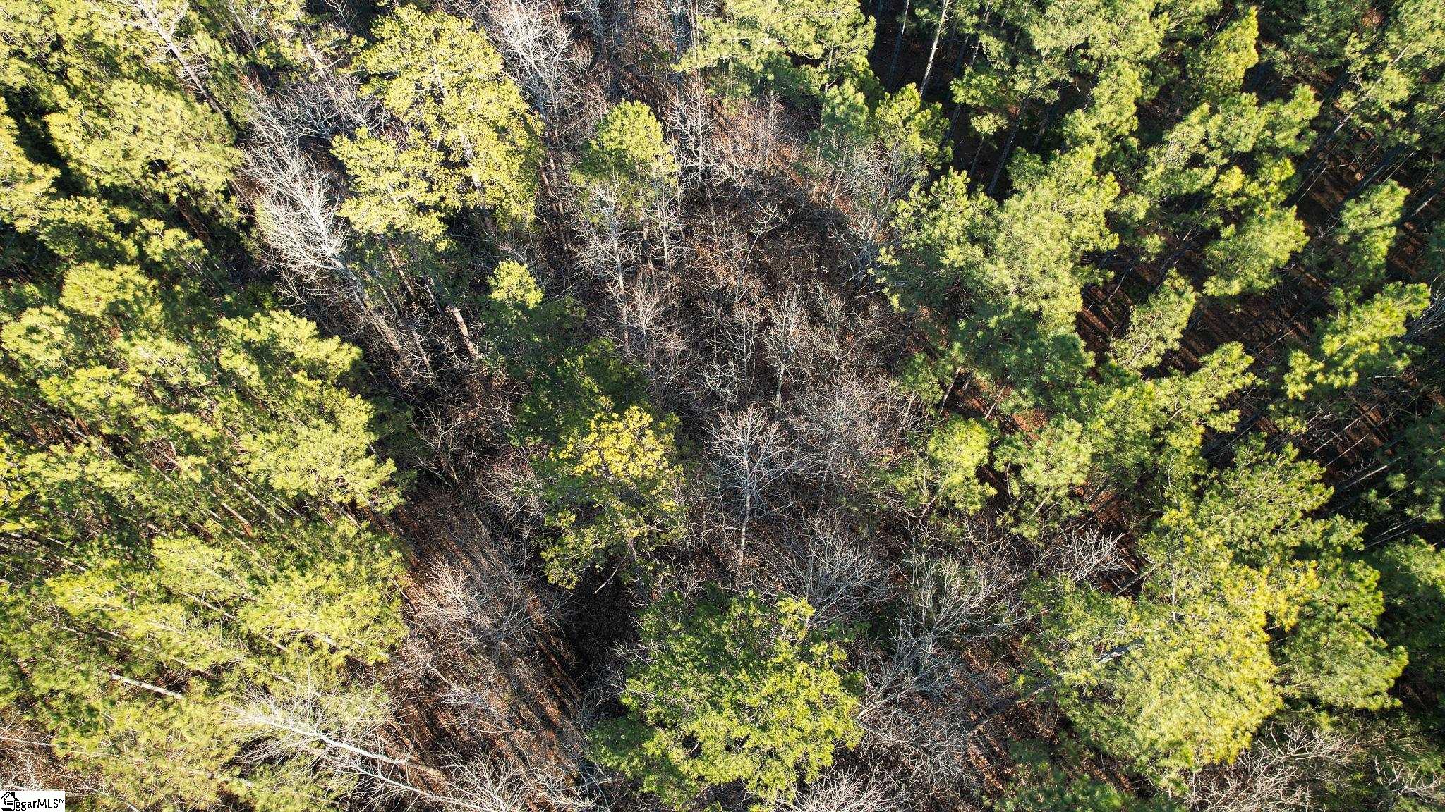 00 Elford Grove, Jonesville, South Carolina image 29