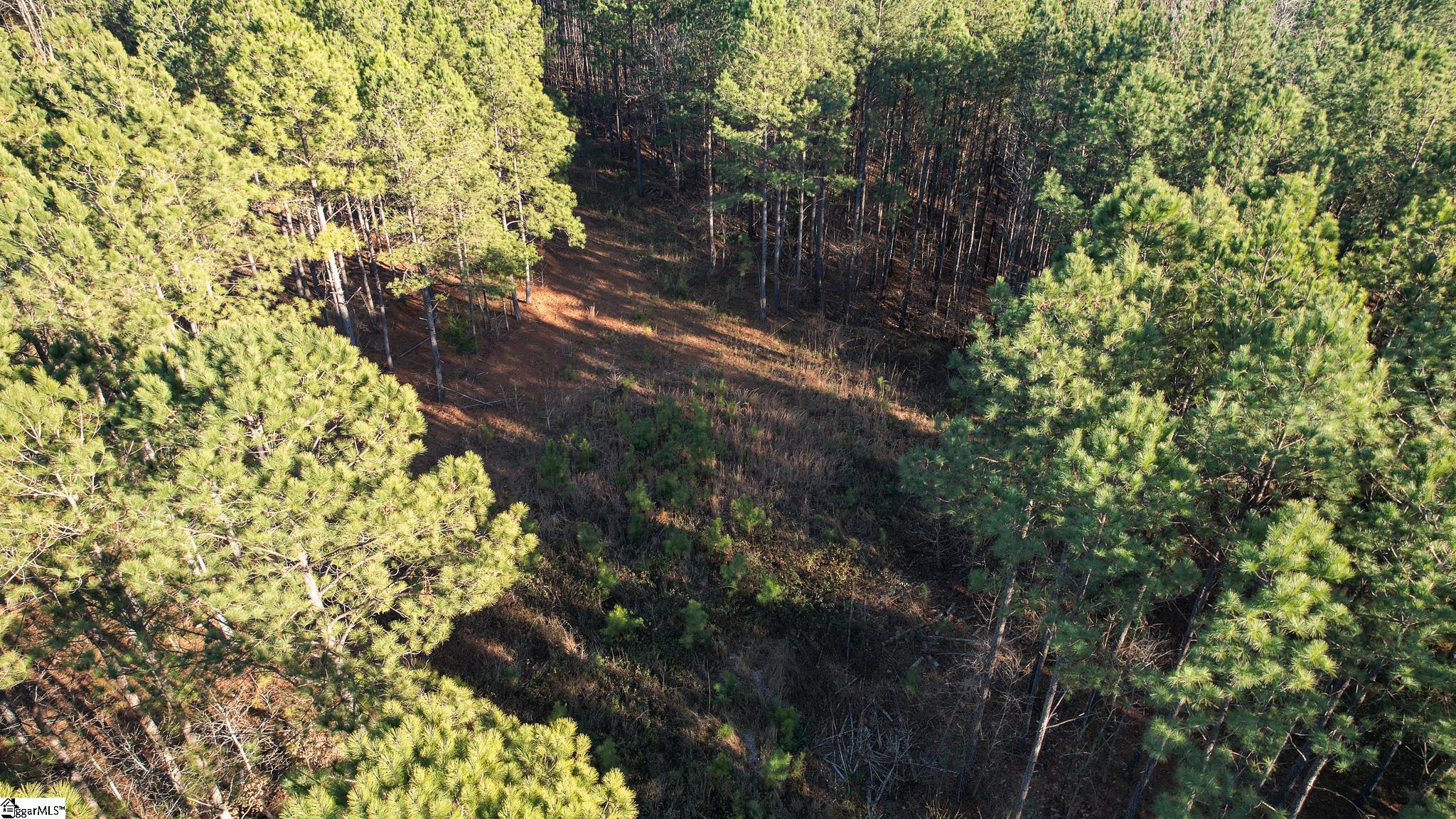 00 Elford Grove, Jonesville, South Carolina image 30