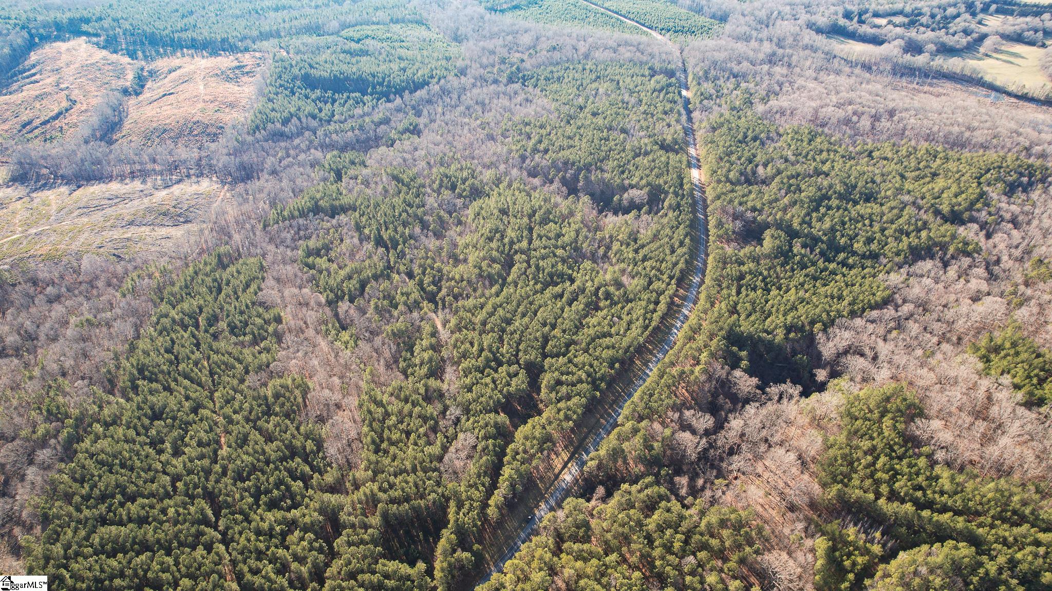 00 Elford Grove, Jonesville, South Carolina image 4