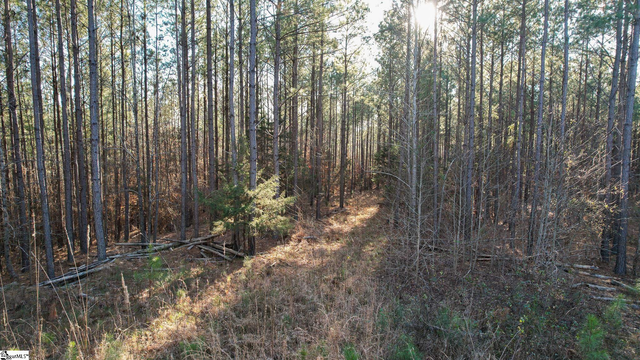00 Elford Grove, Jonesville, South Carolina image 31