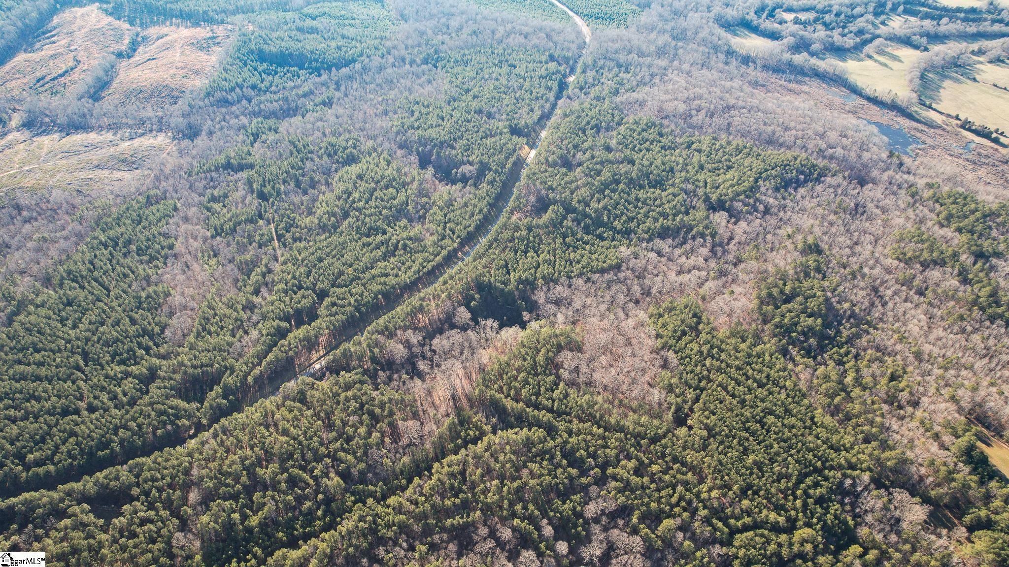 00 Elford Grove, Jonesville, South Carolina image 7