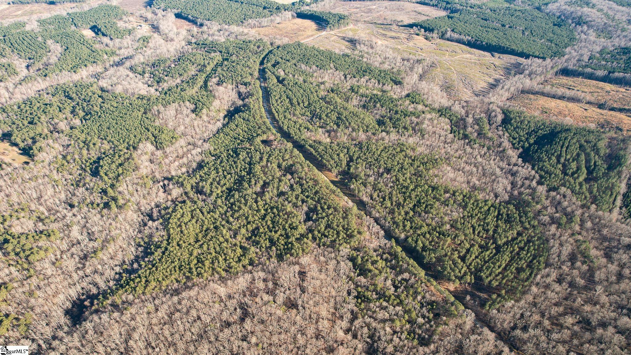 00 Elford Grove, Jonesville, South Carolina image 8