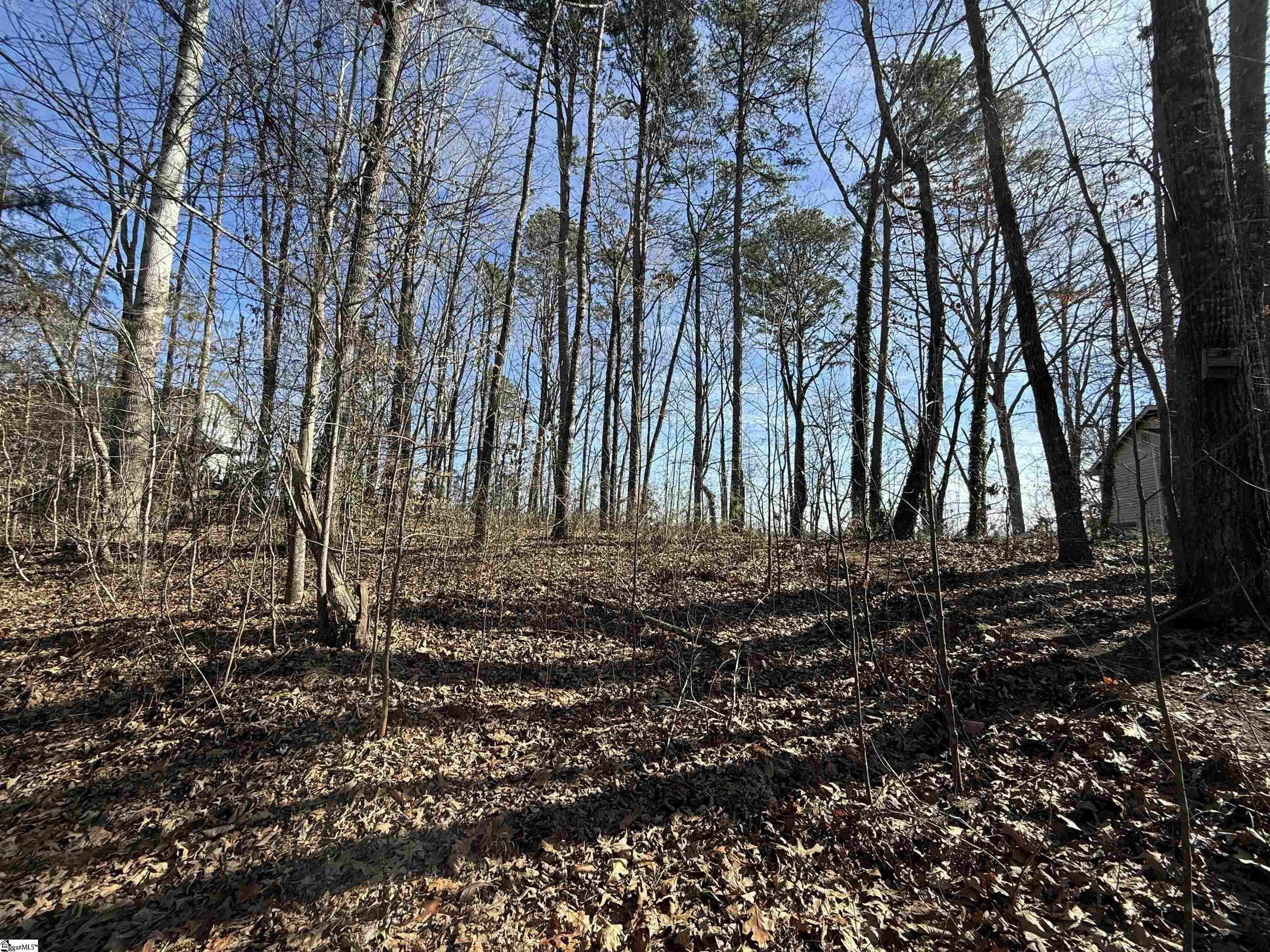 340 Bridgeport, West Union, South Carolina image 8