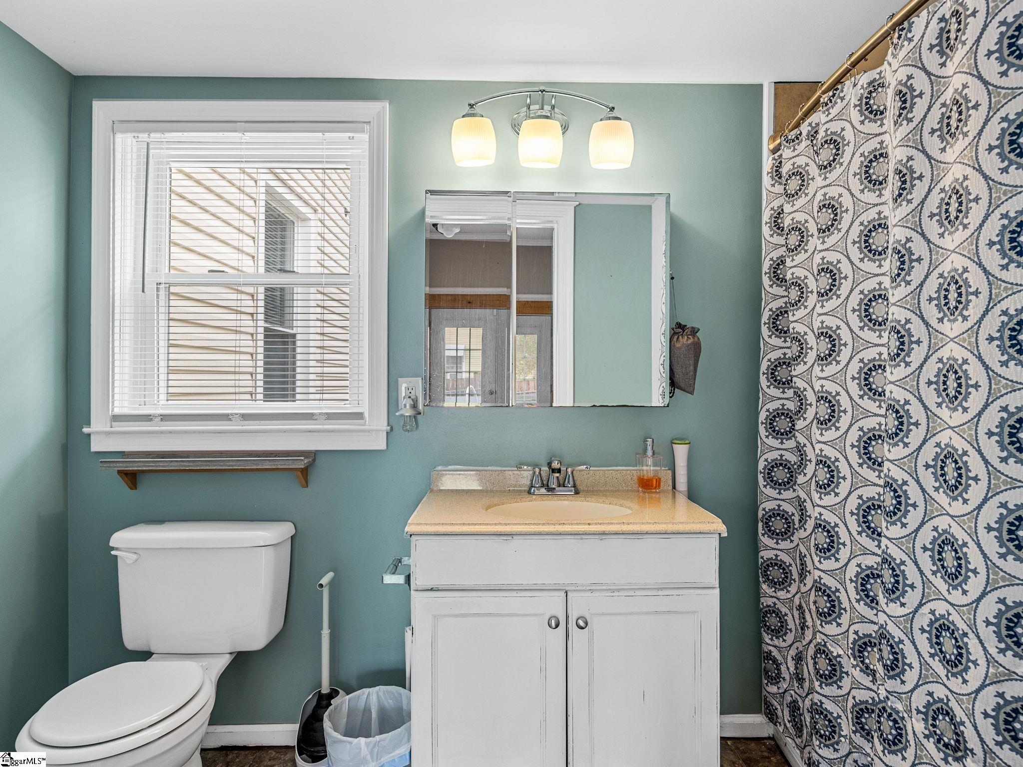 4 Courtney, Pelzer, South Carolina image 31