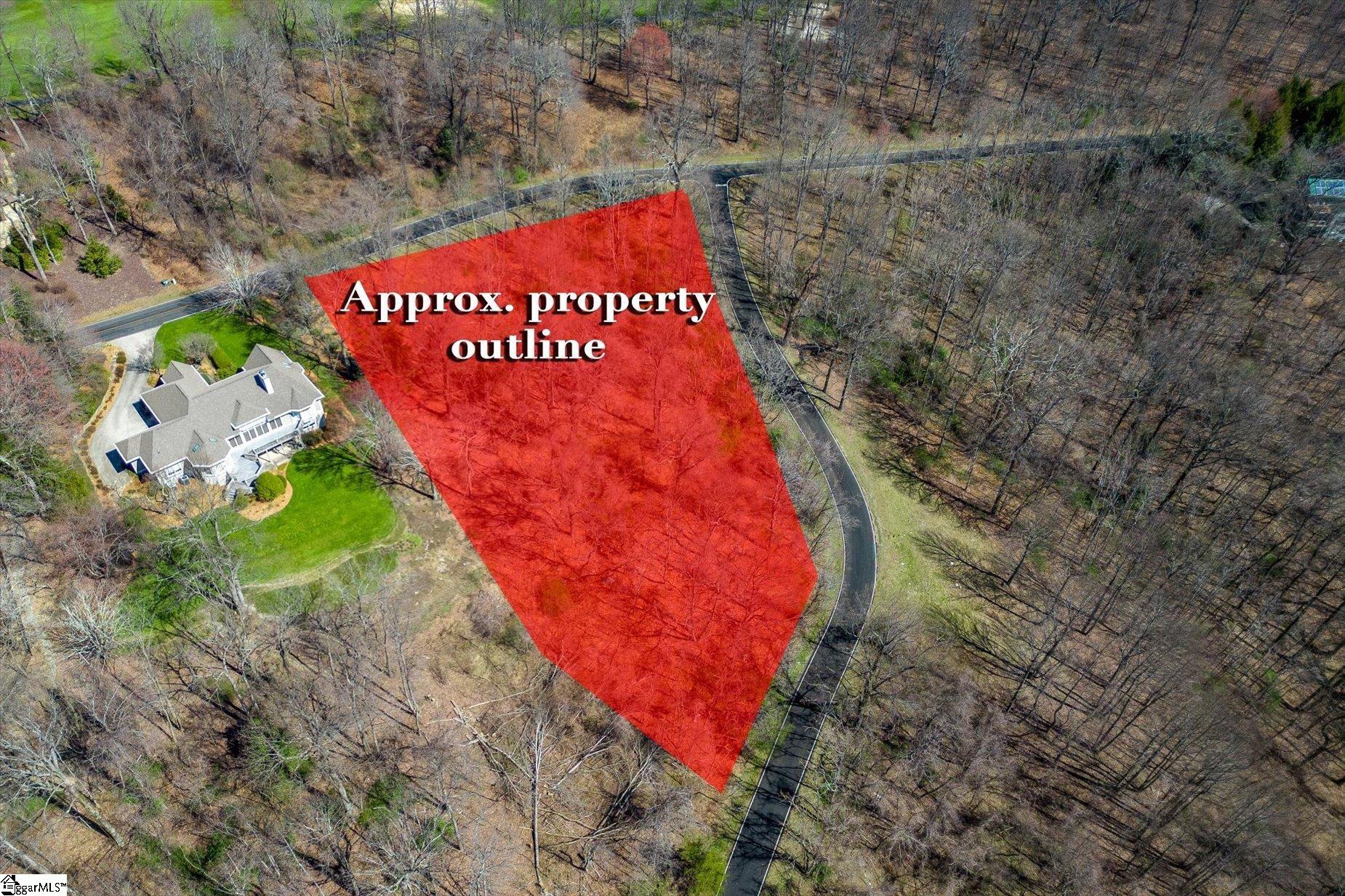 68 May Apple, Landrum, South Carolina image 3