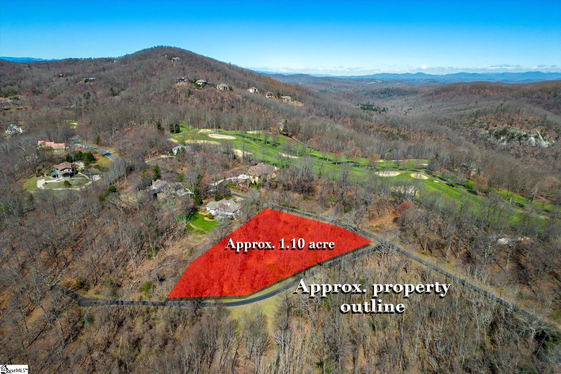 68 May Apple, Landrum, South Carolina image 4
